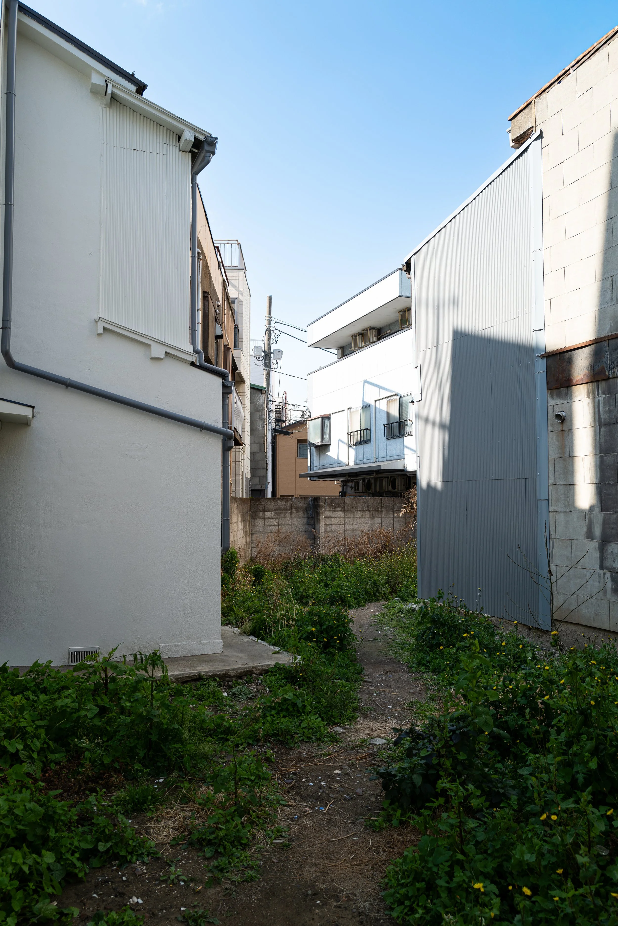 L1000294.jpg