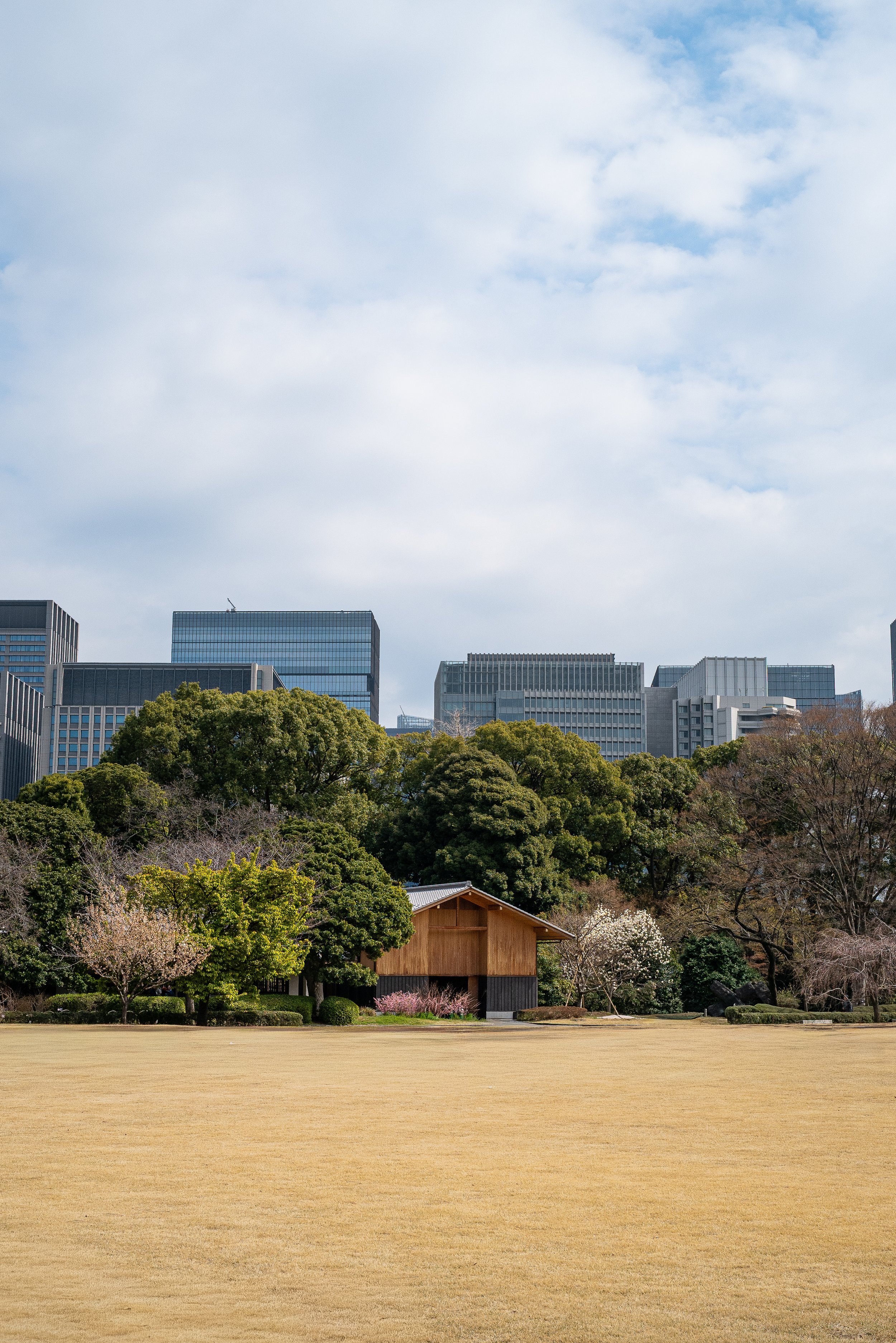 L1000330.jpg