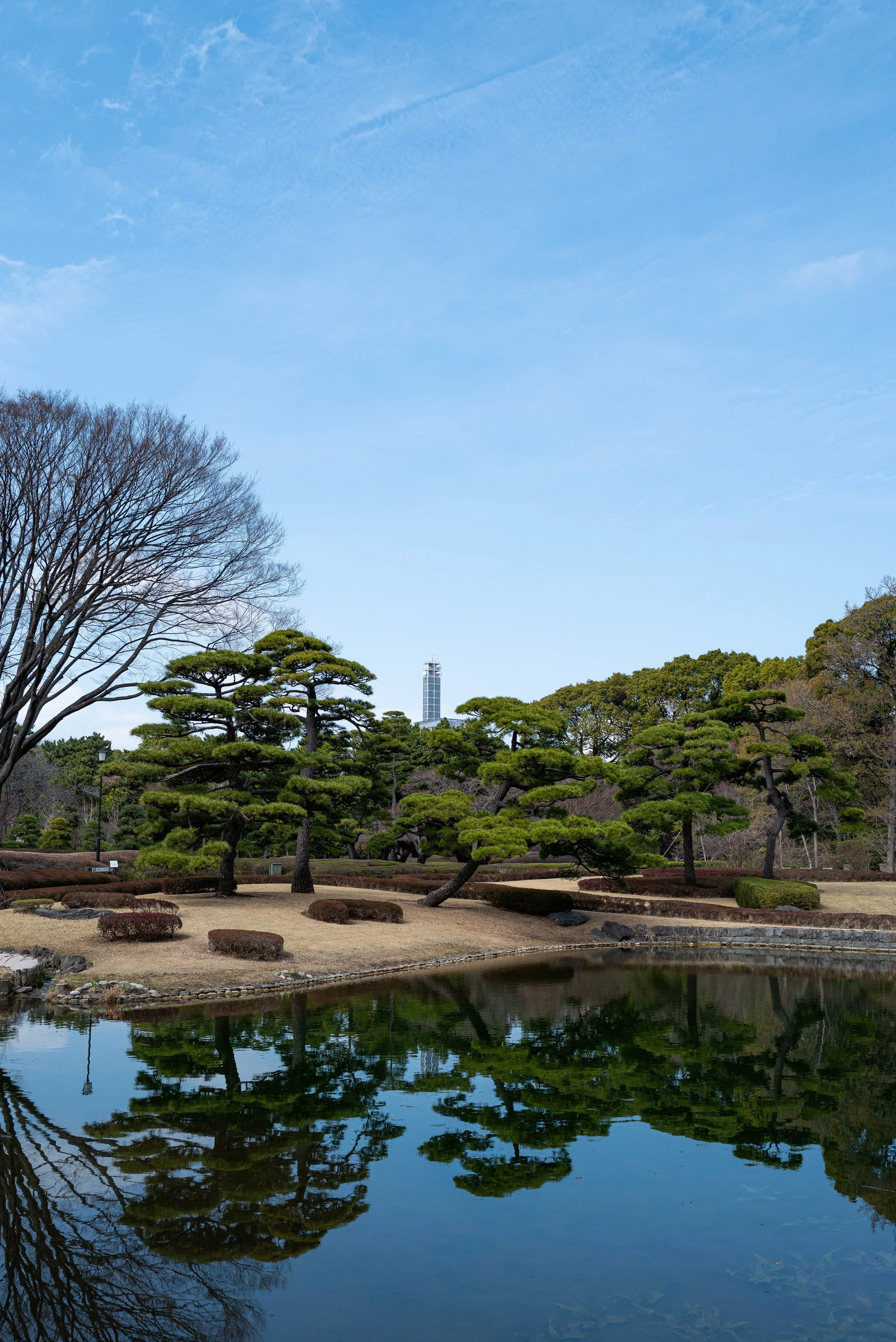 L1000395.jpg