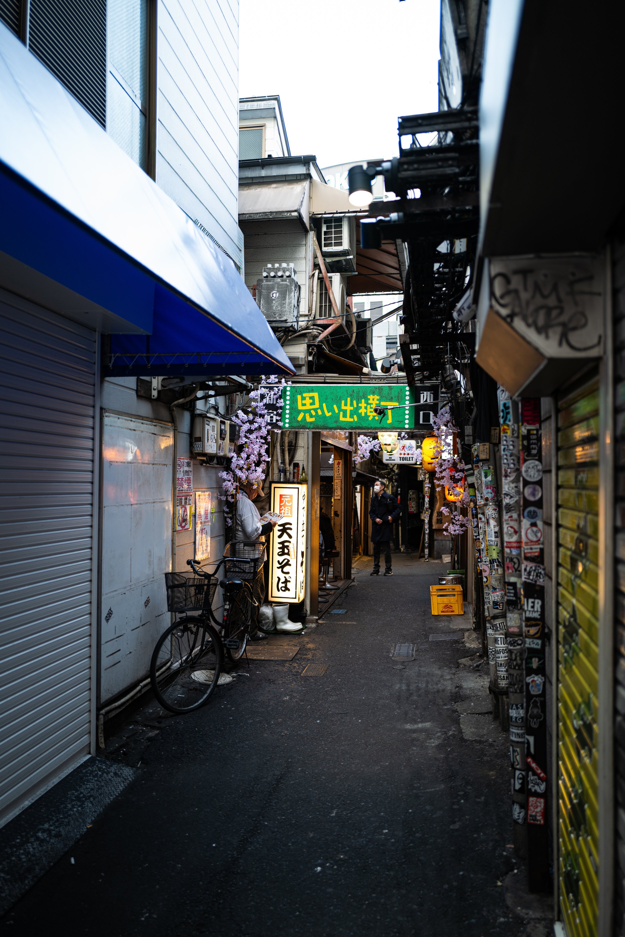 L1000533.jpg