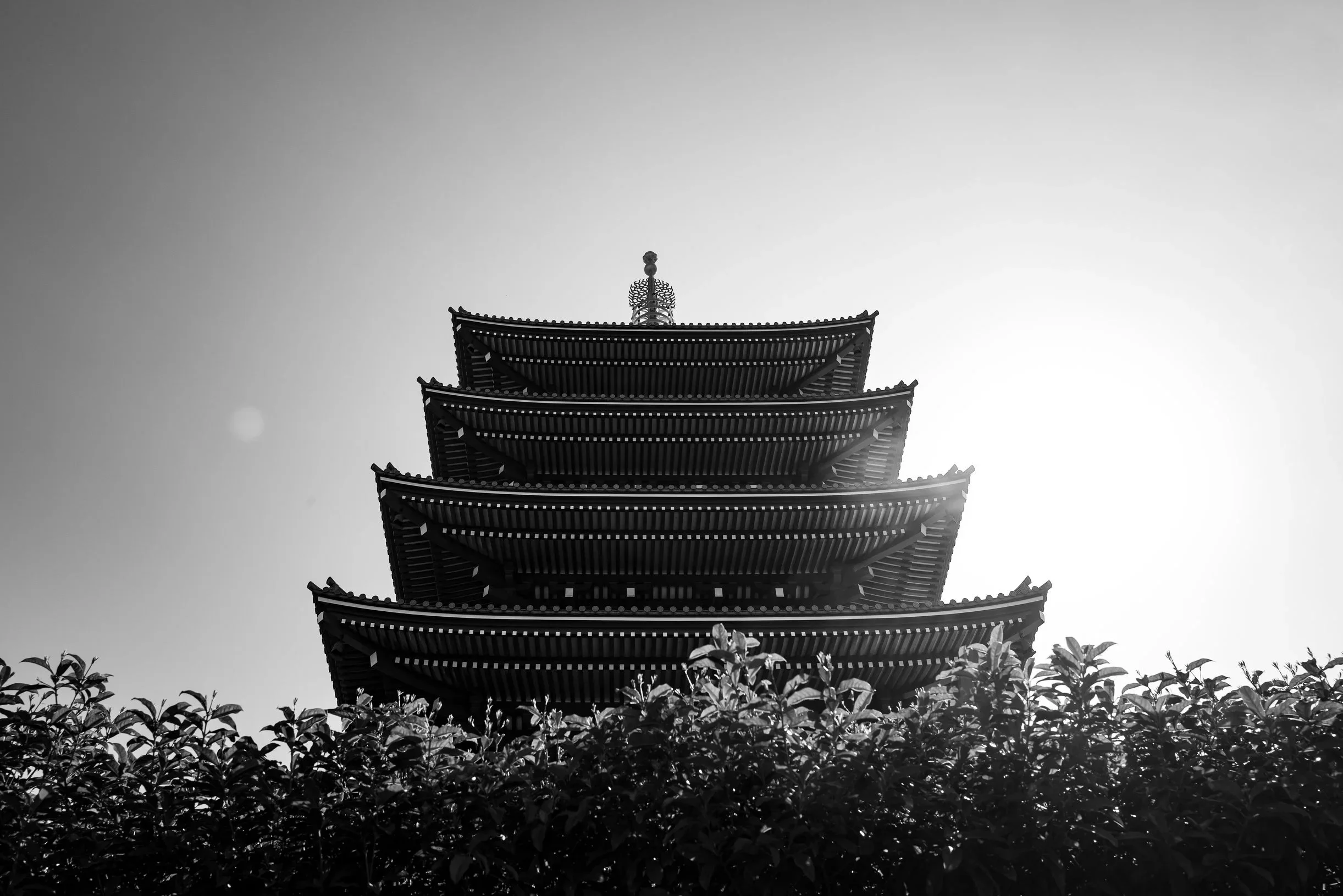L1000292.jpg