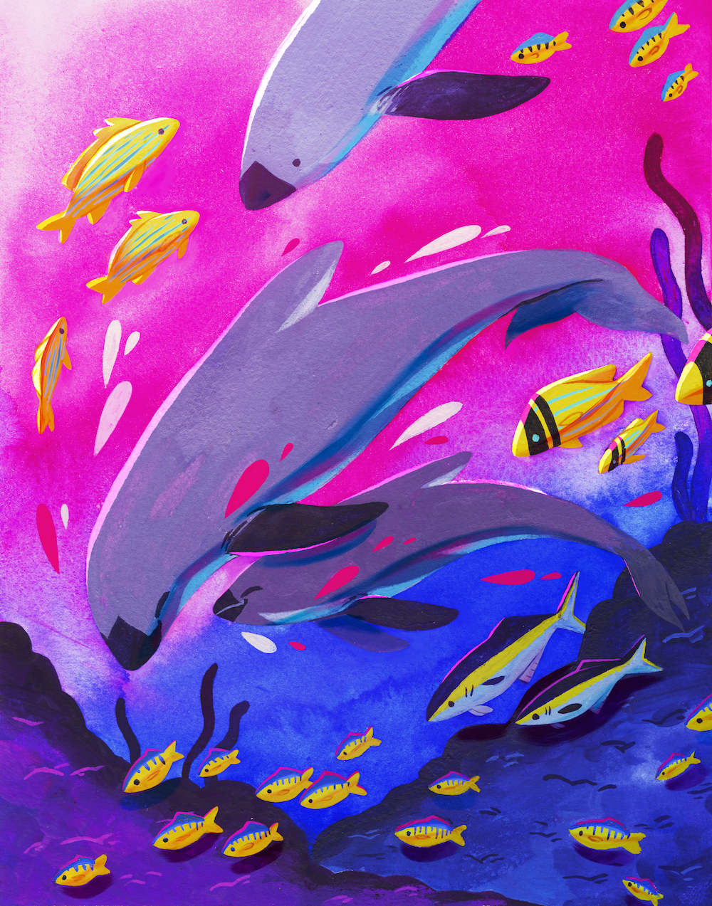 vaquita+edit-2.png