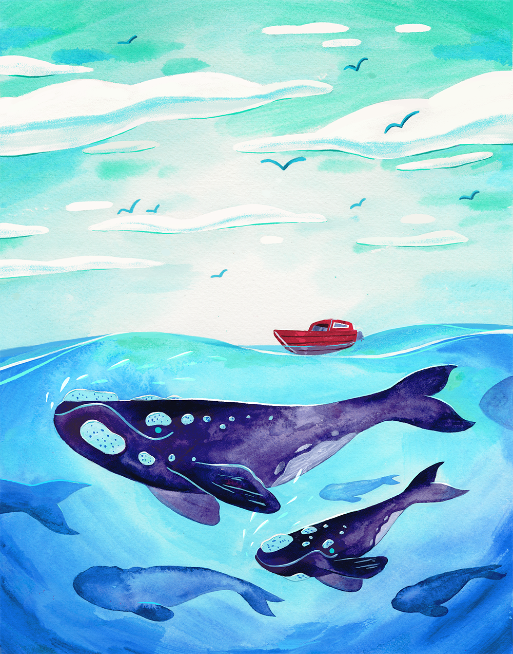 right+whale+copy-3.png