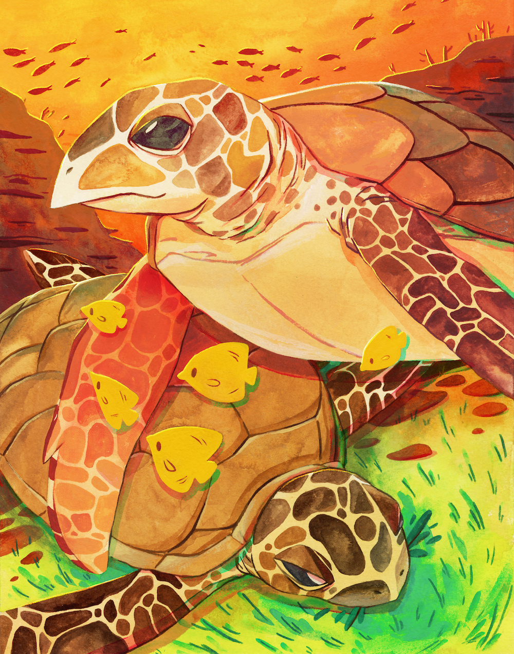 turts-3.png