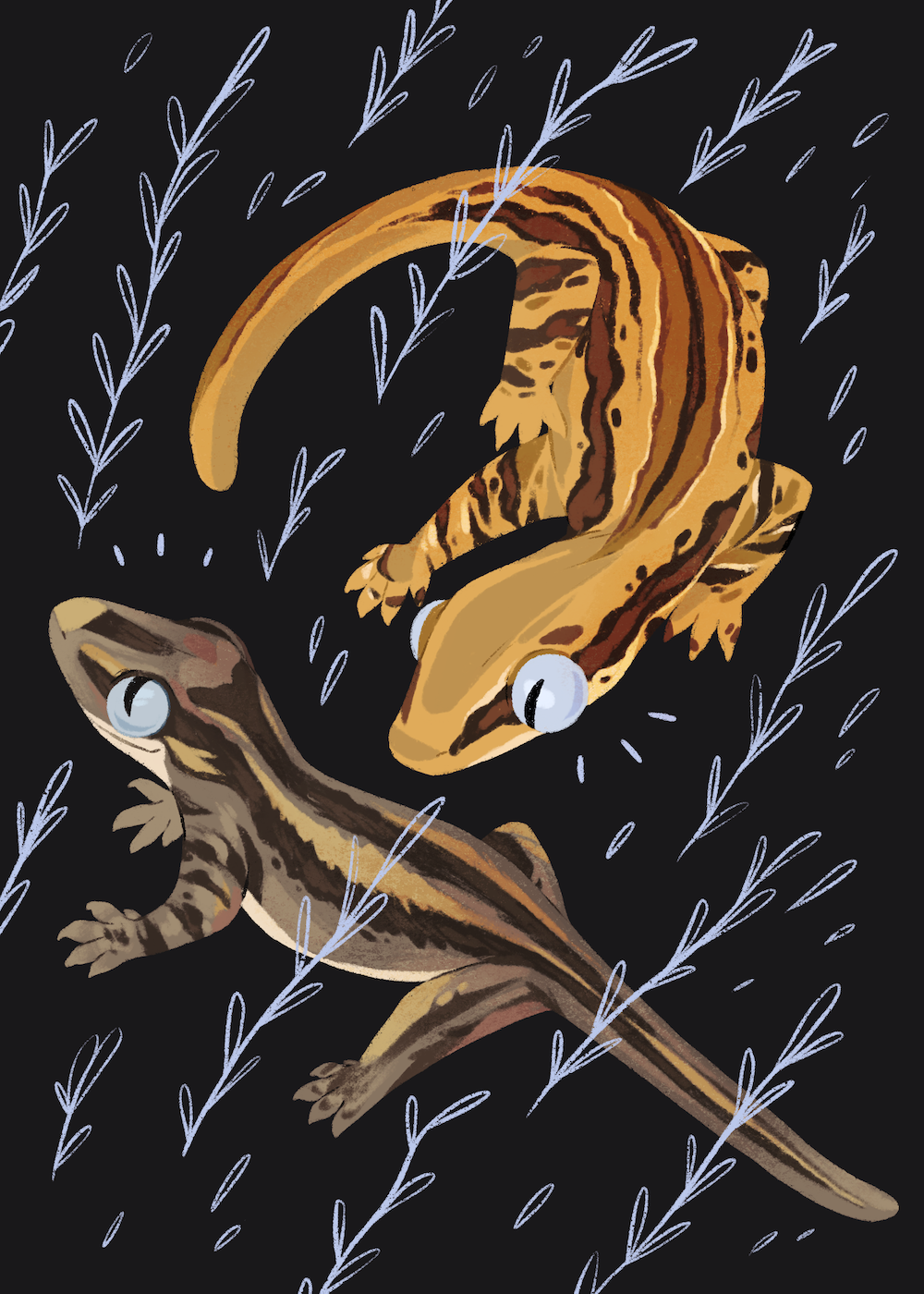 geckos_FINAL 2.png