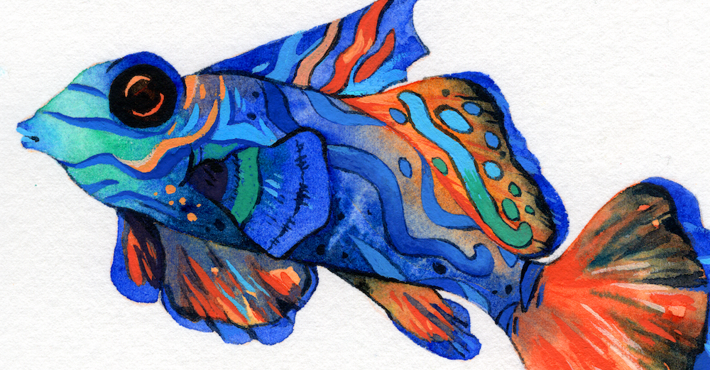 mandarin detaill copy.png