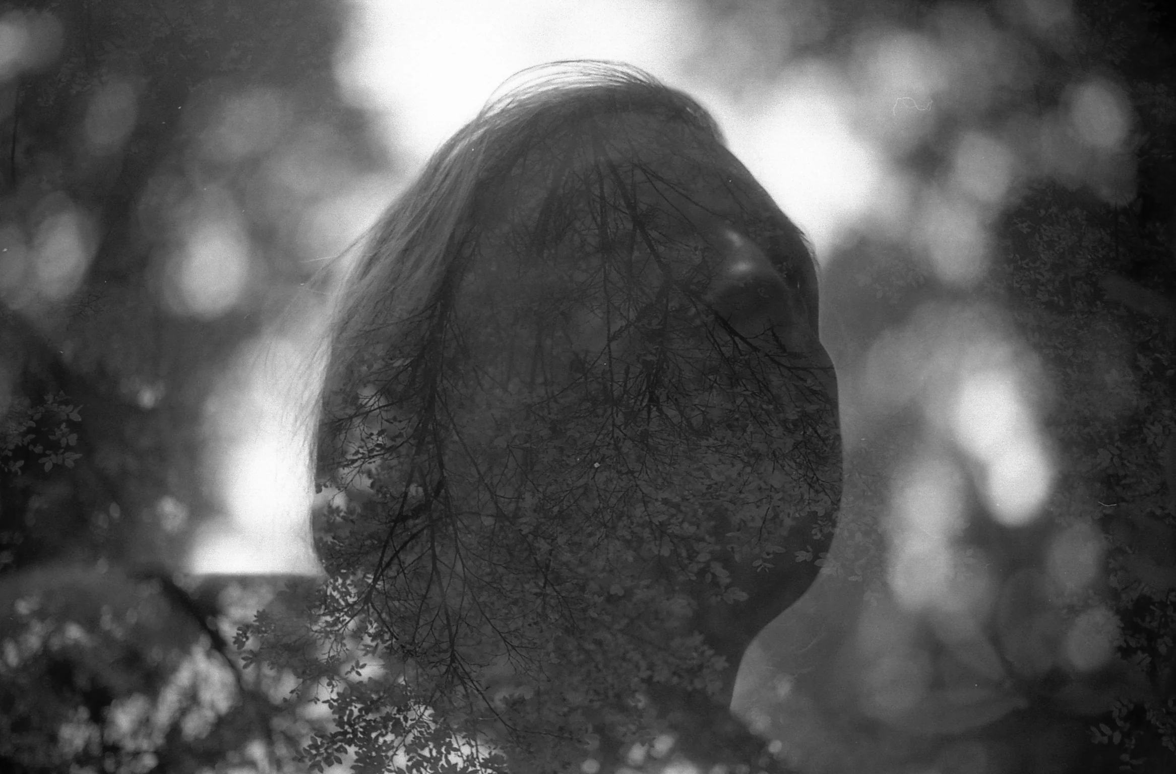 What is Trauma PART II