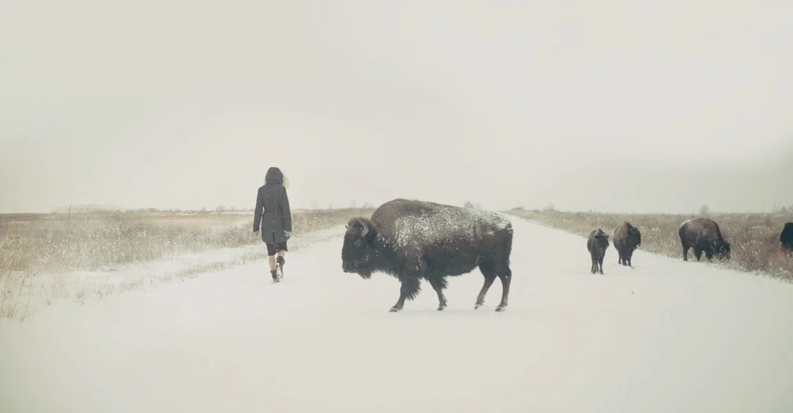 Developing Mental Health Awareness