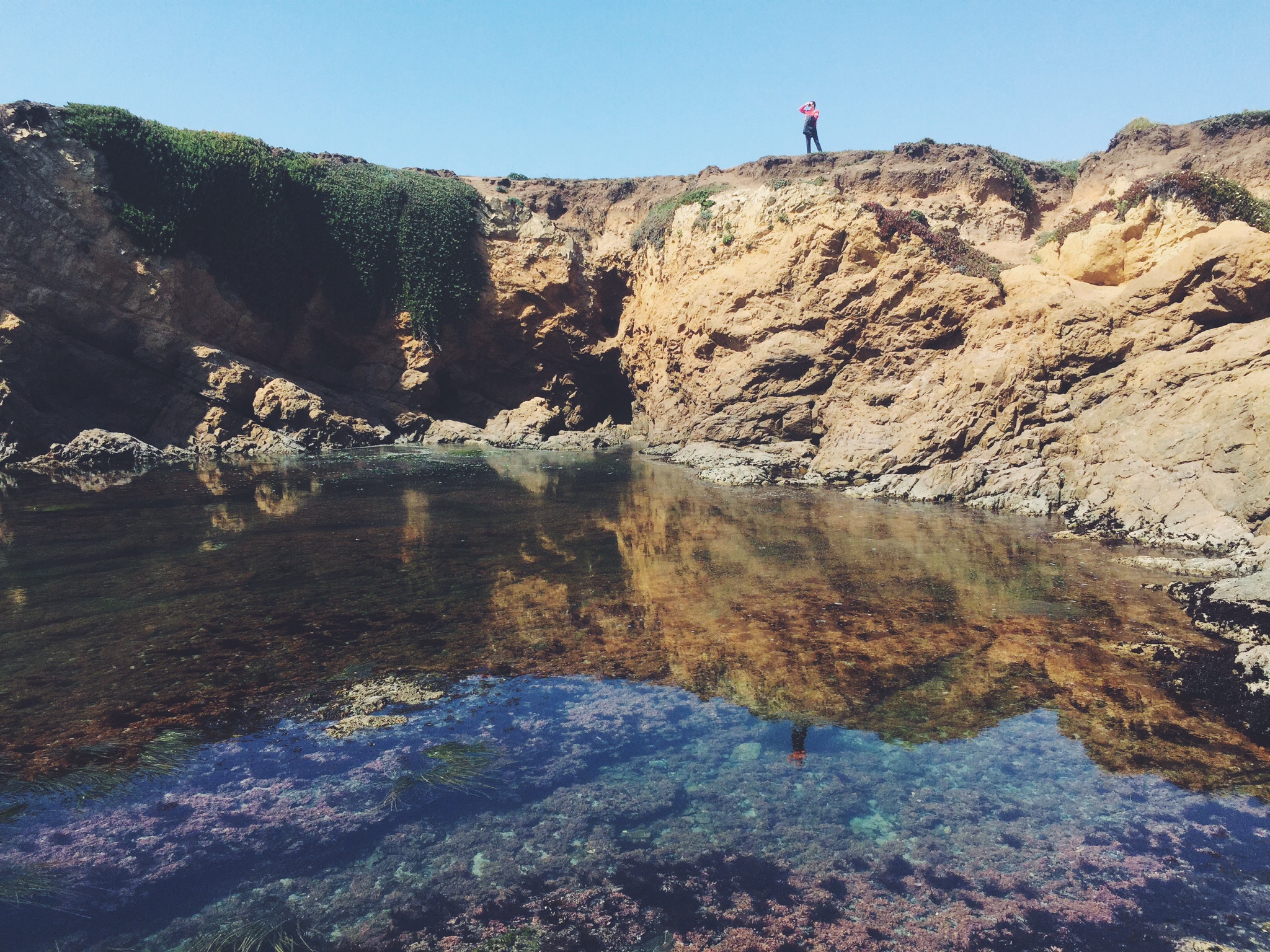 Suicide Prevention Month