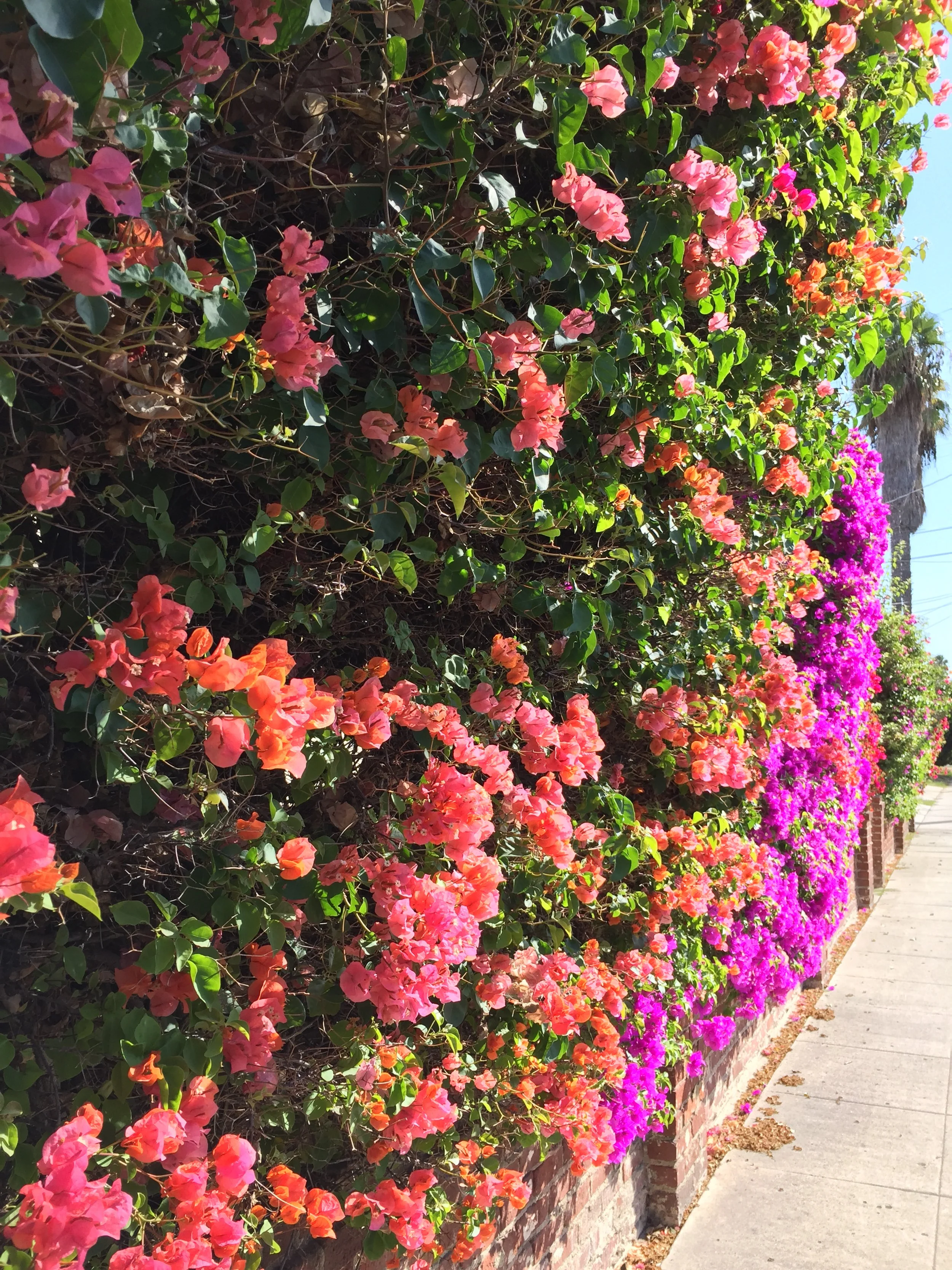 So, You Think You Want EMDR? Here’s Why Brainspotting Might Be an Even Better Fit