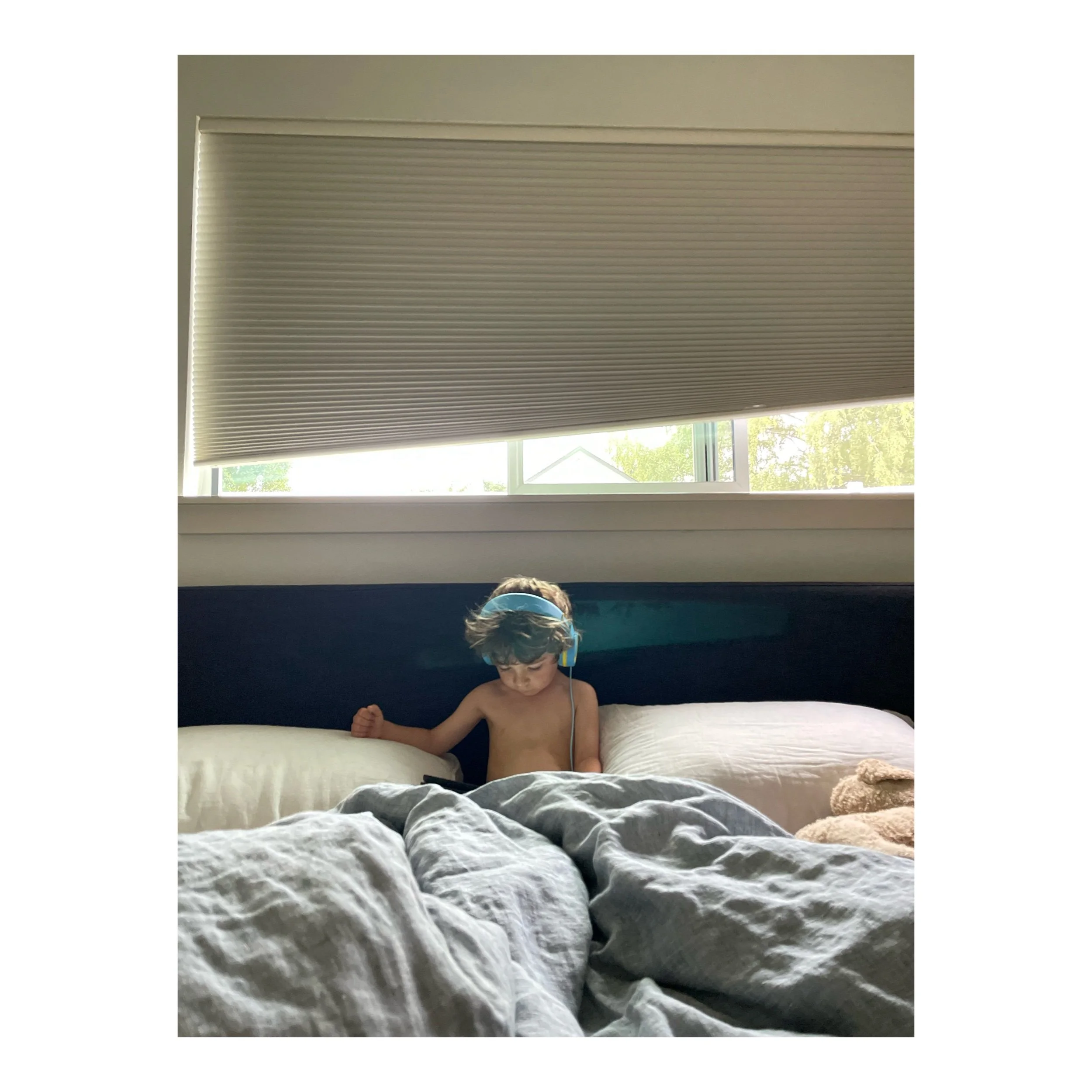 IMG_1187.jpeg