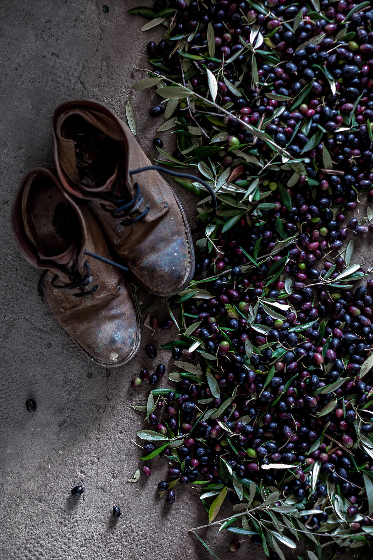 olives.jpg