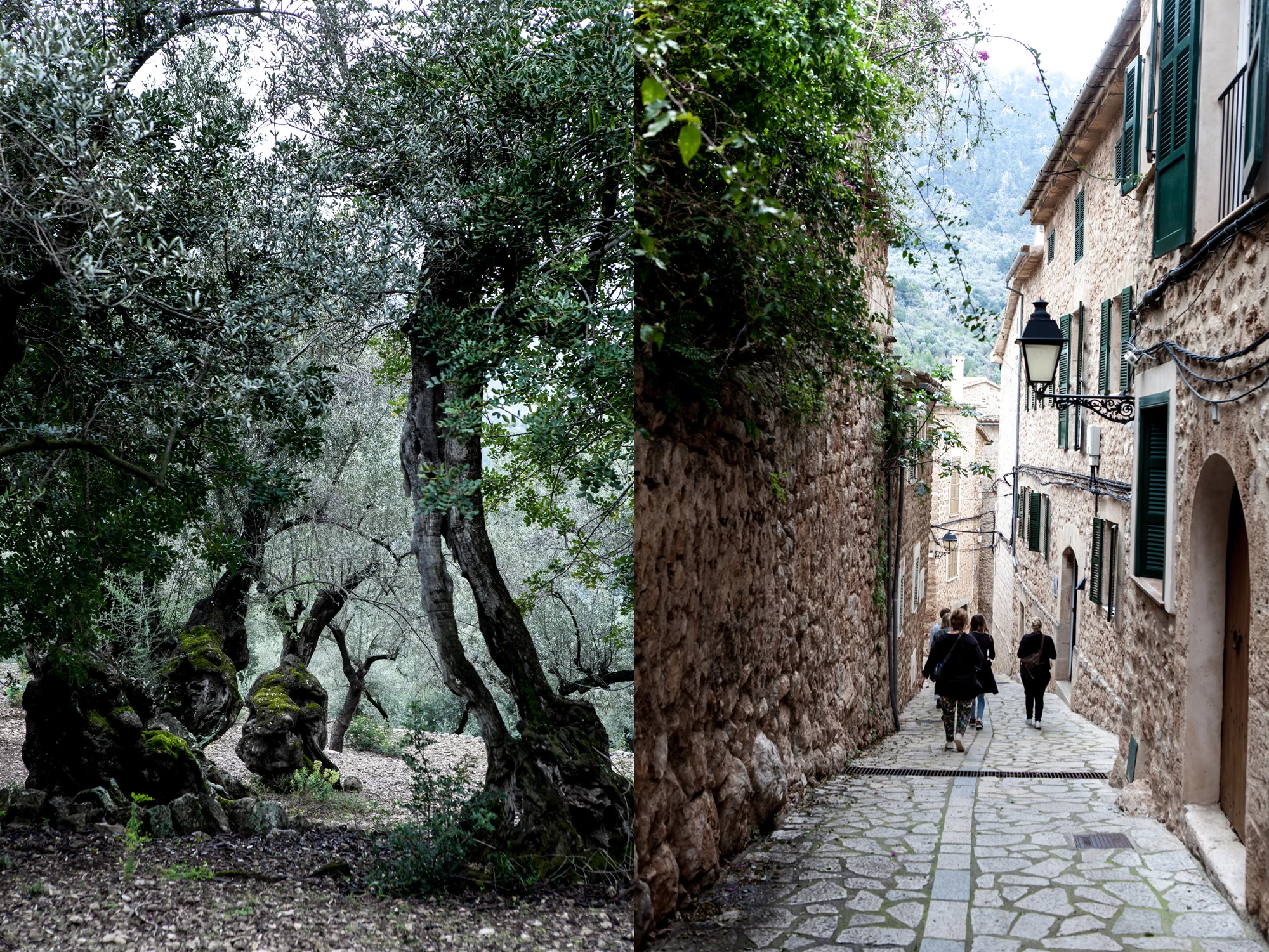 mallorca.jpg