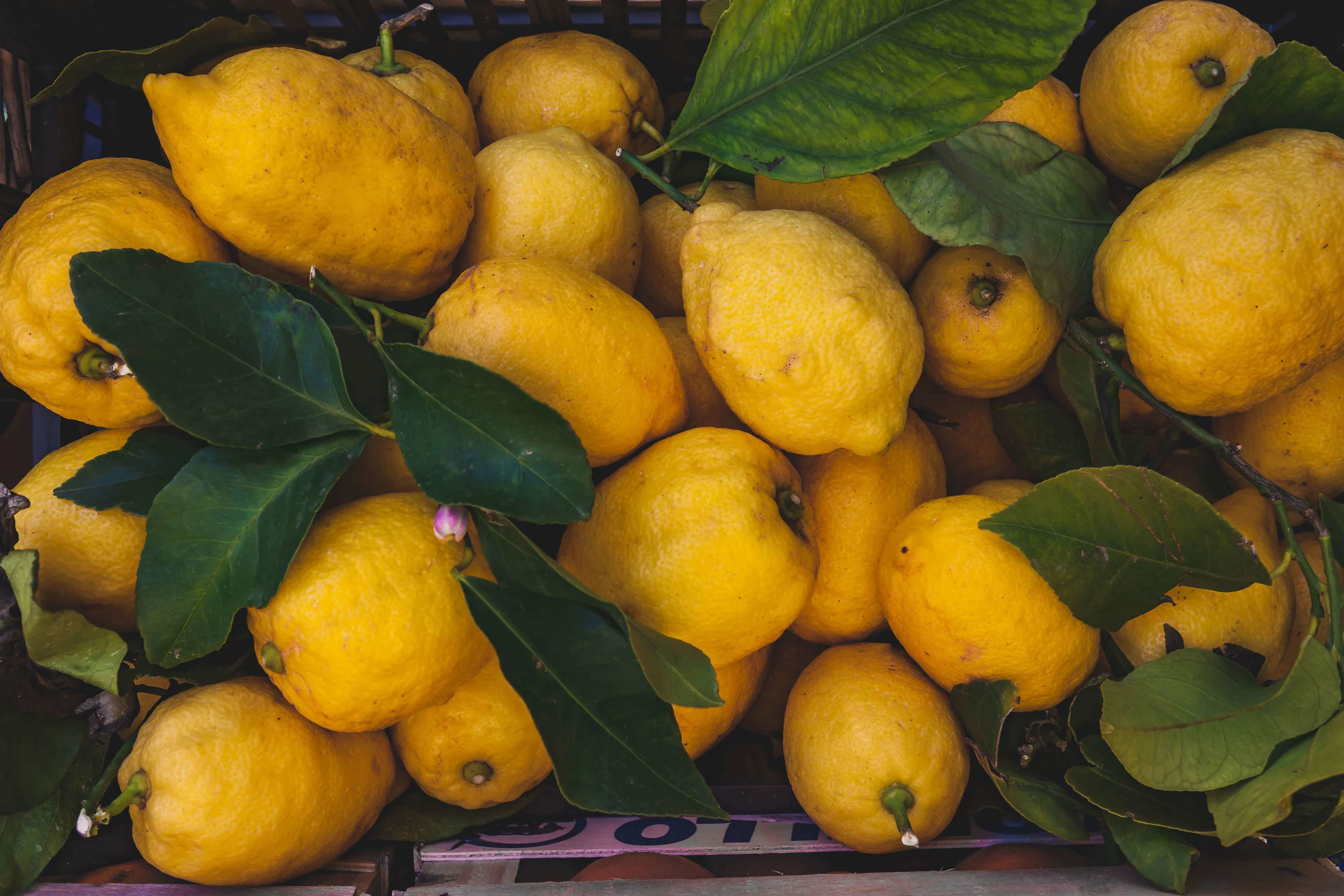 lemons.jpg