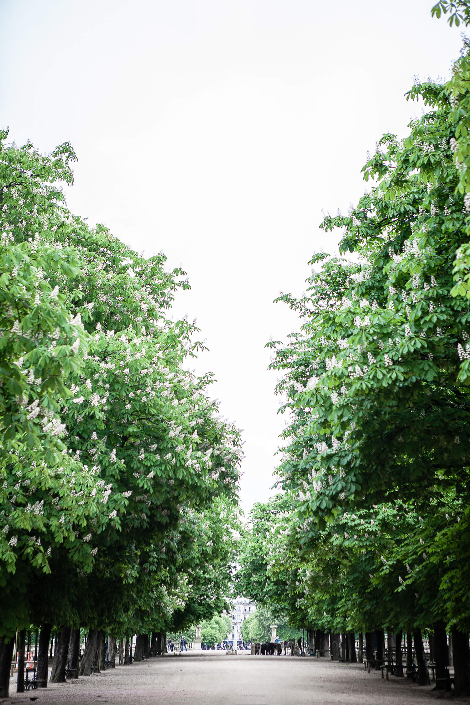 jardinduluxembourg.jpg
