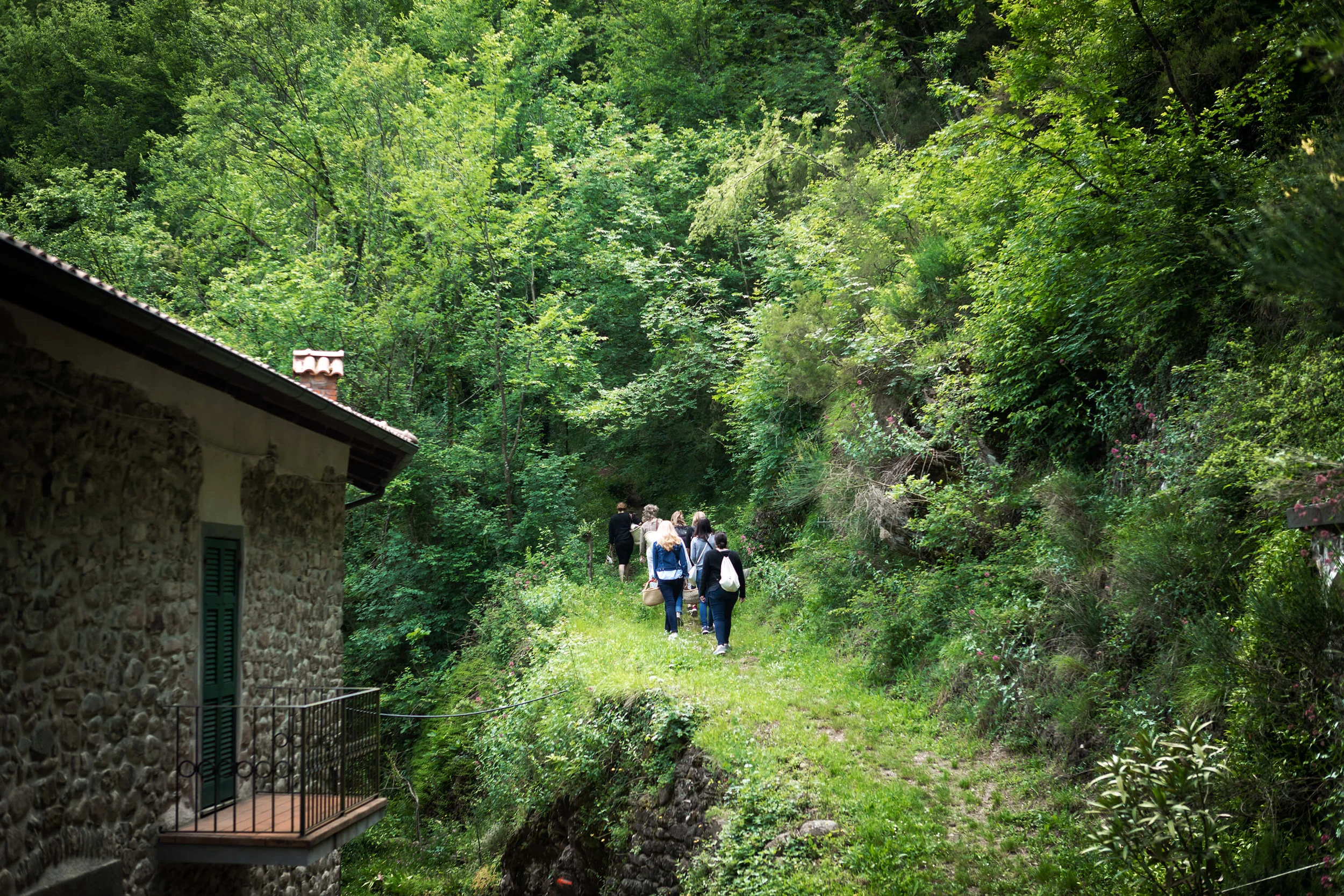 Tuscany_siforellana.jpg
