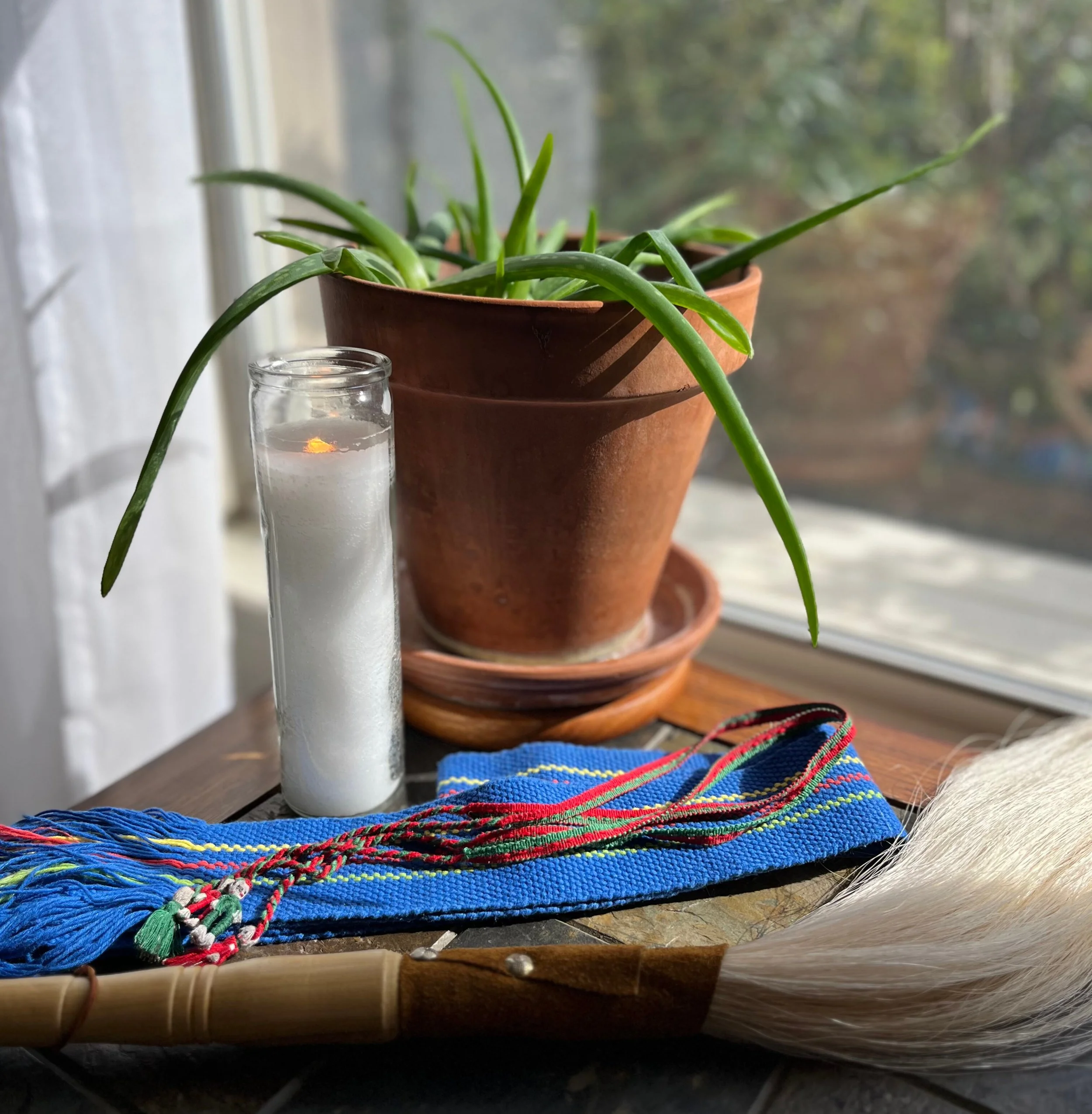 aloe candle belt and horsetail.jpg