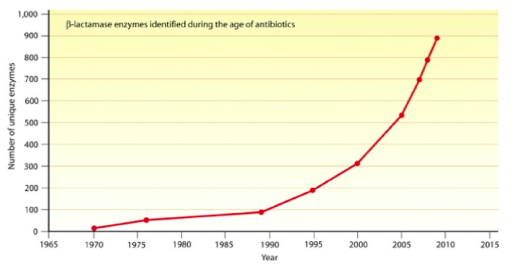 Figure 3. Number of unique β-lactamase enzymes identified since the introduction of the first β-lactam antibiotics. From the American Society for Microbiology.