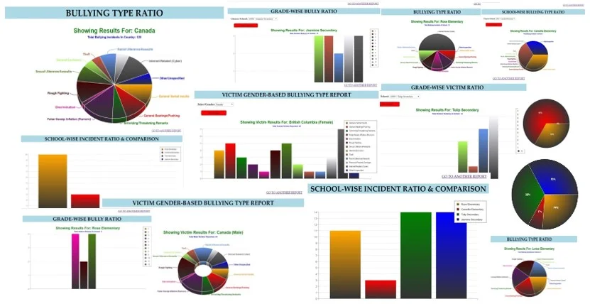 Figure 2. Sample statistical parameterized outputs produced at different levels of administration within the school system.