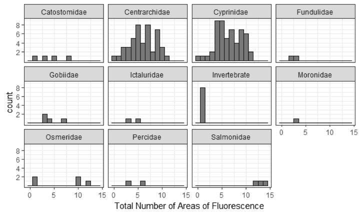 Figure 1. Average number of fluorescent areas among freshwater biota characterized by Taxonomic Family.
