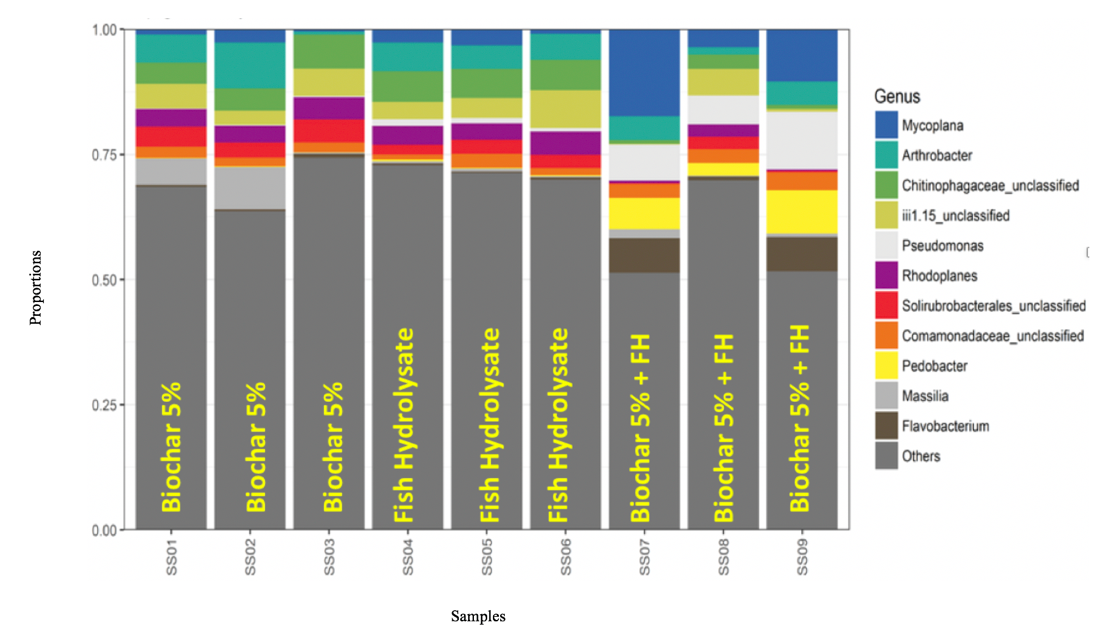 Figure 6. Community microbial composition: Top genera by overal relative abundance.