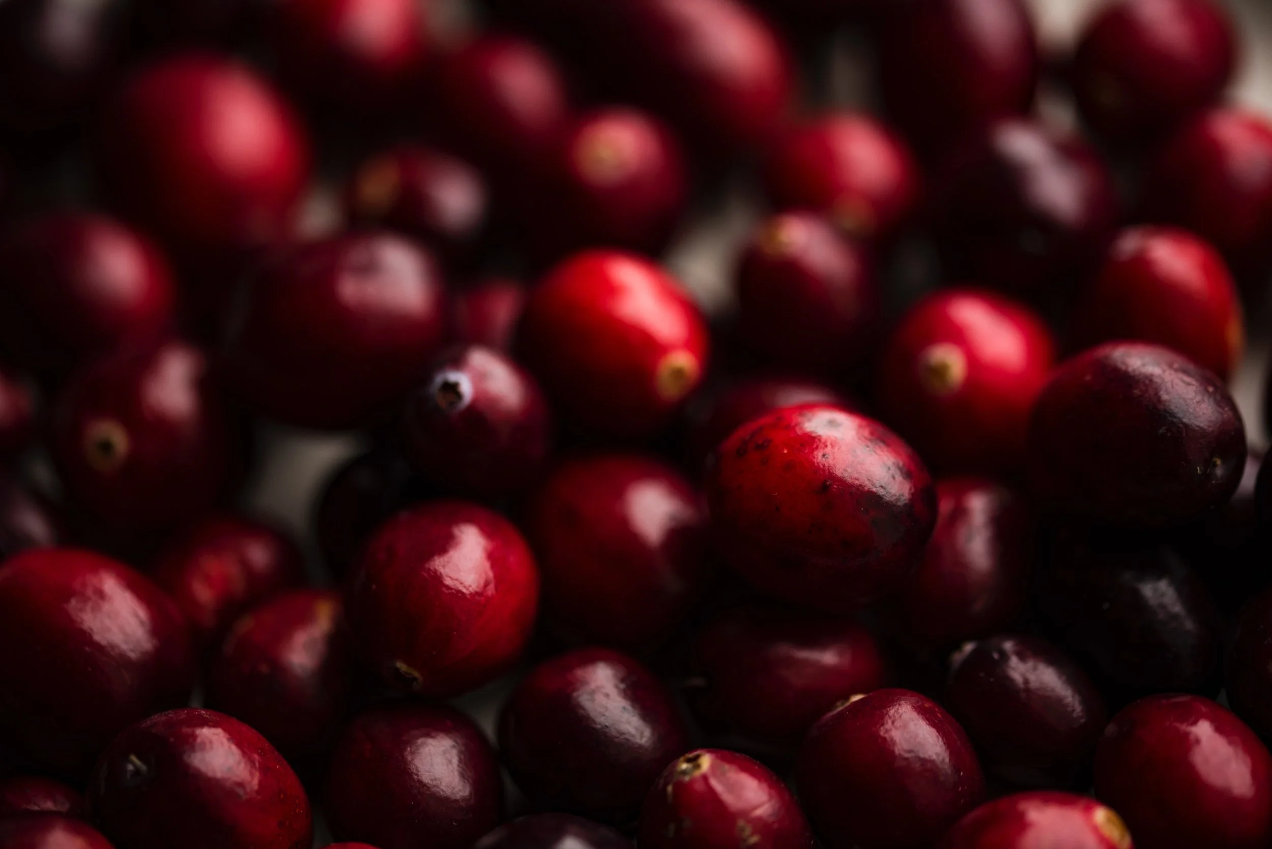 The Cranberry Cure The Efficacy of Cancer Chemotherapy Combinations