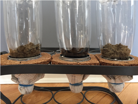 Figure 1. Filter setup; sand, dried banana peels, sand (left to right).