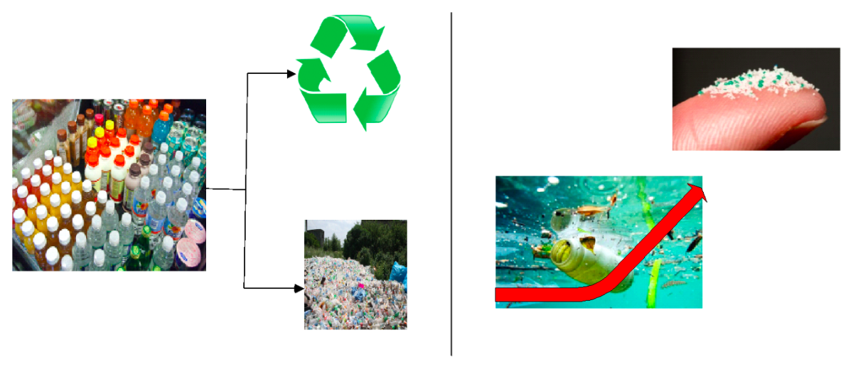 Improvement of Plastic Recycling by Image Processing and Machine Learning