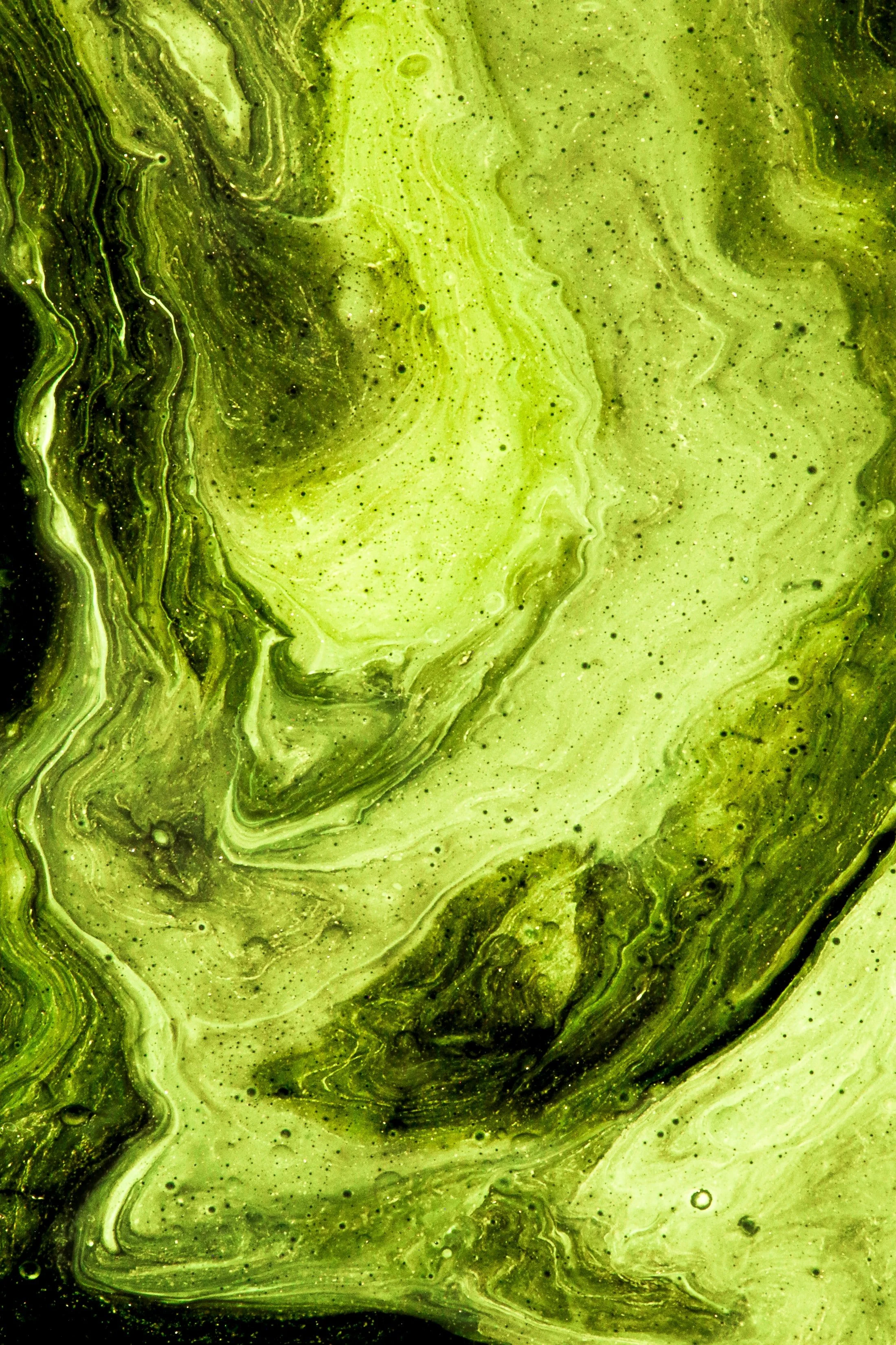 Bioelectric Batteries Using Algae to Make the Battery Renewable