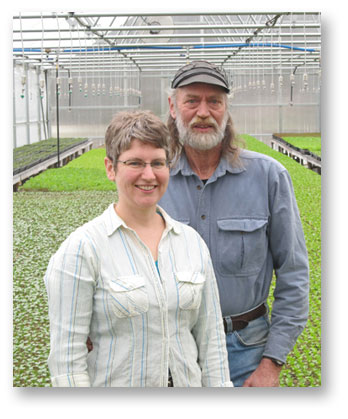 HARMONY VALLEY CSA Harmony Valley is a large CSA. They have been at it for a long time and have got it down! They deliver lots of food to lots of people while keeping impeccable quality. They are also wonderful people! They are one of a few farms that grow burdock, and they grow A LOT of it! It has been wonderful to work with them, they are a model of how a bigger farm can operate.