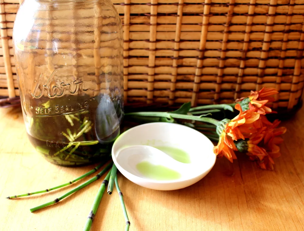 HORSETAIL TINCTURE BEFORE STRAINING