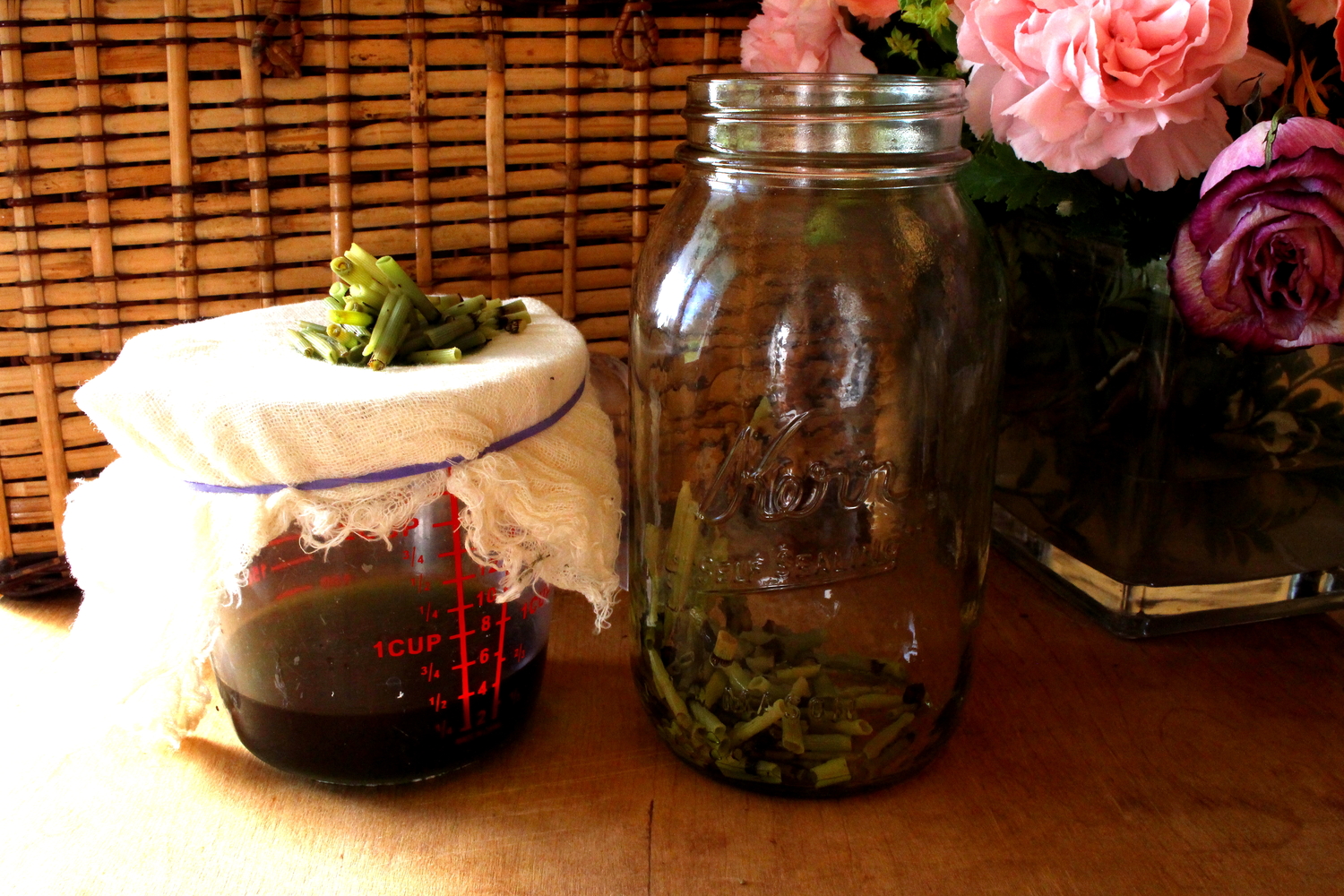 Horsetail Tincture Grow Healthy Hair And Nails Naturally! — TamThyme