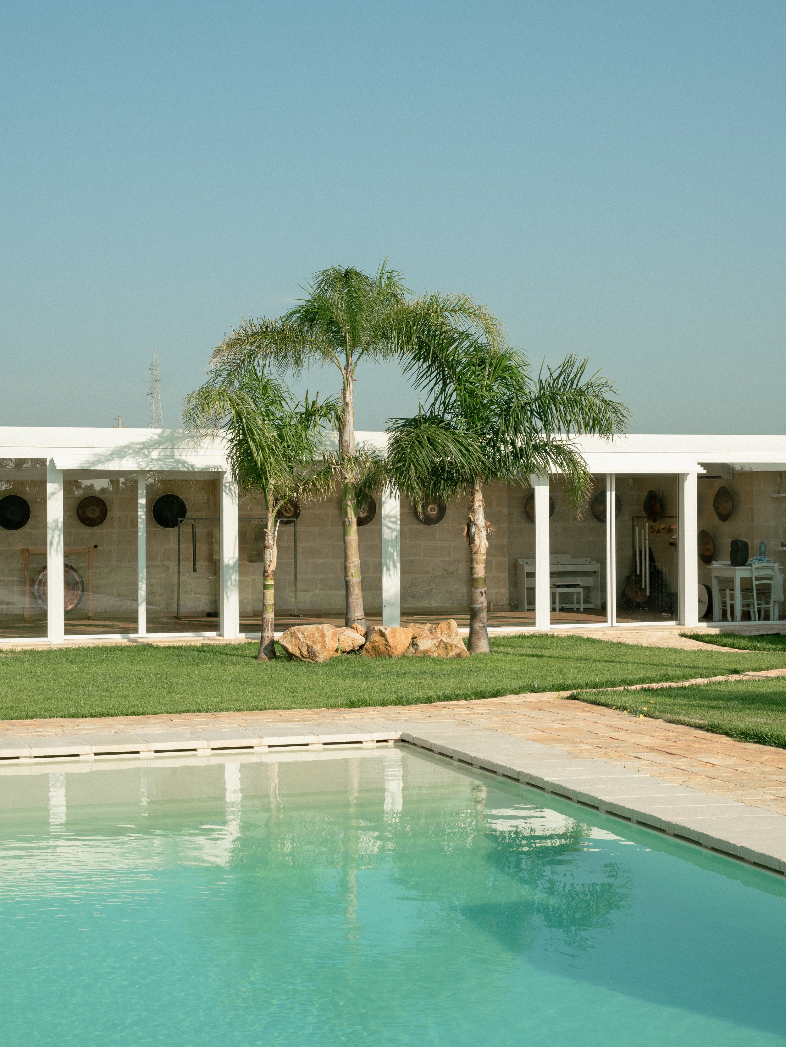View of a backyard with a swimming pool, three palm trees, a grassy lawn, and a modern building with glass walls in the background.