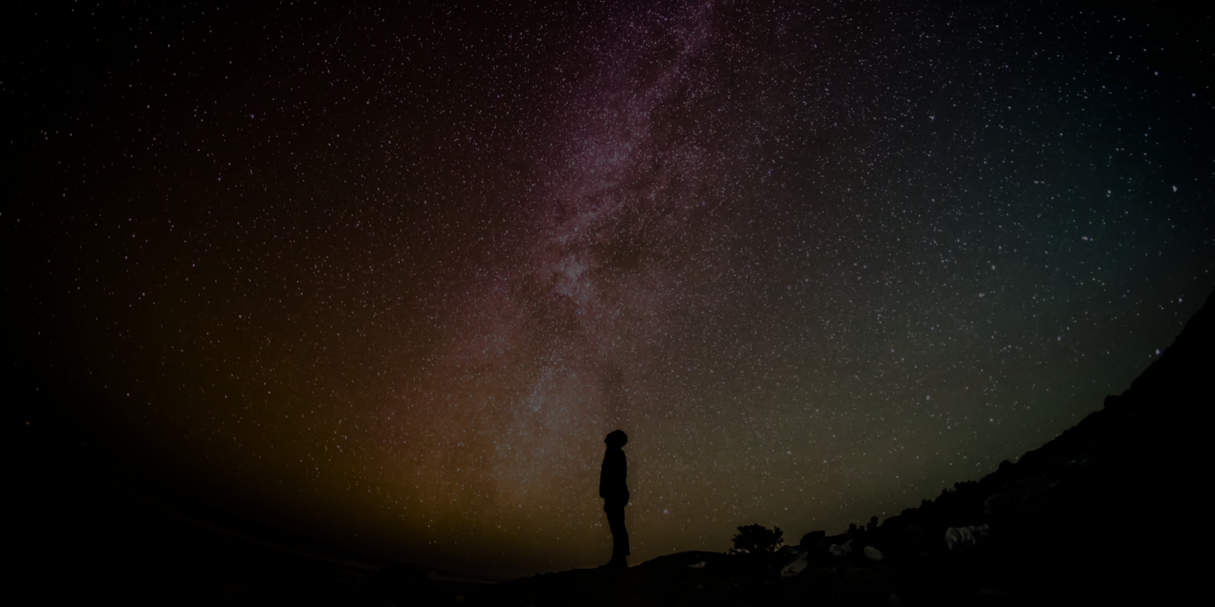 Banner Images (3).png