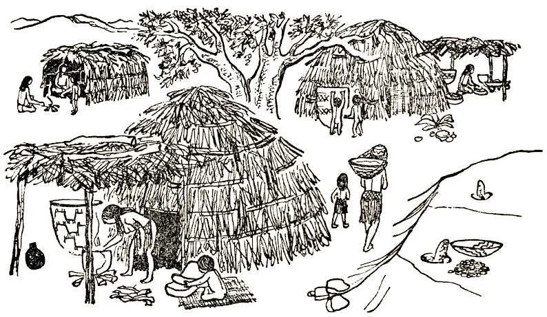 A typical Southern California Indian village (from Bleeker, The Mission Indians of California , 1956).