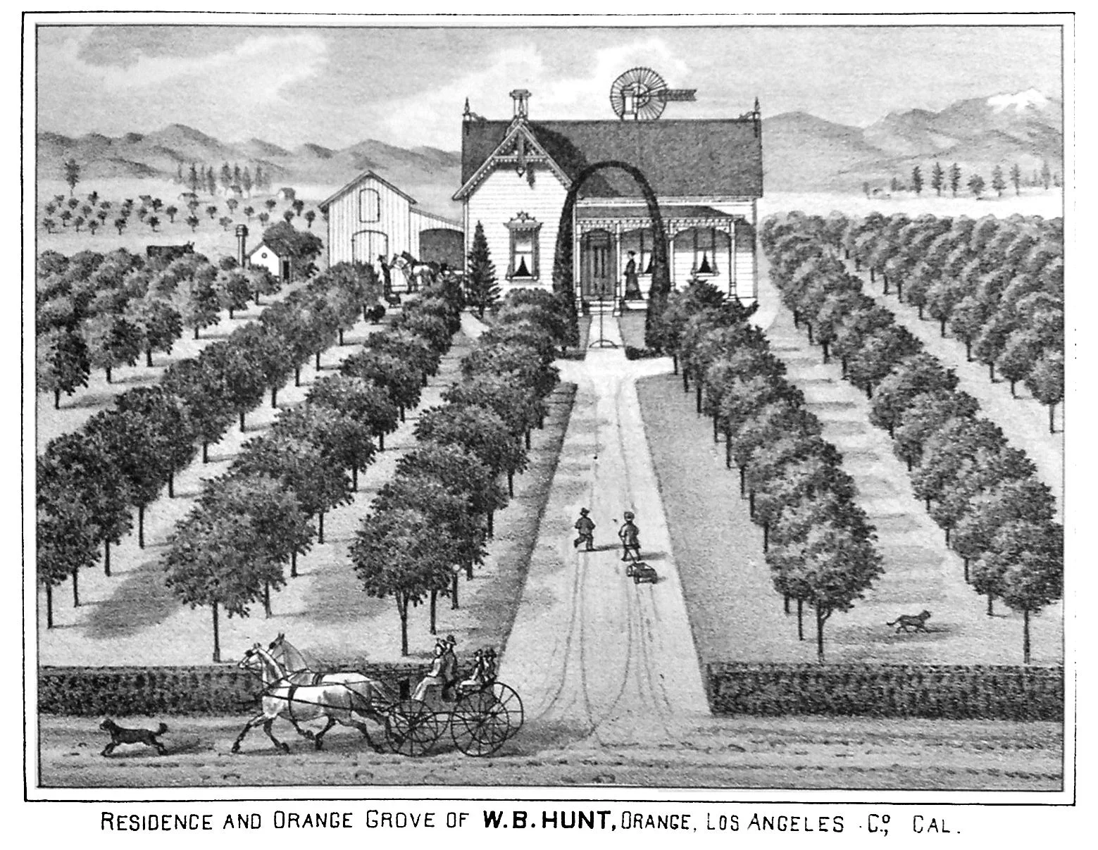 Page 146a Hunt 1880.jpg