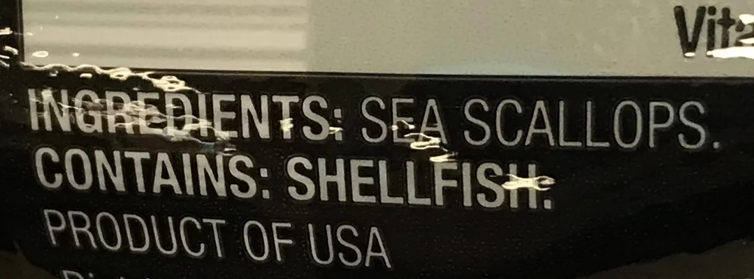 fullsizeoutput_1c3e.jpeg