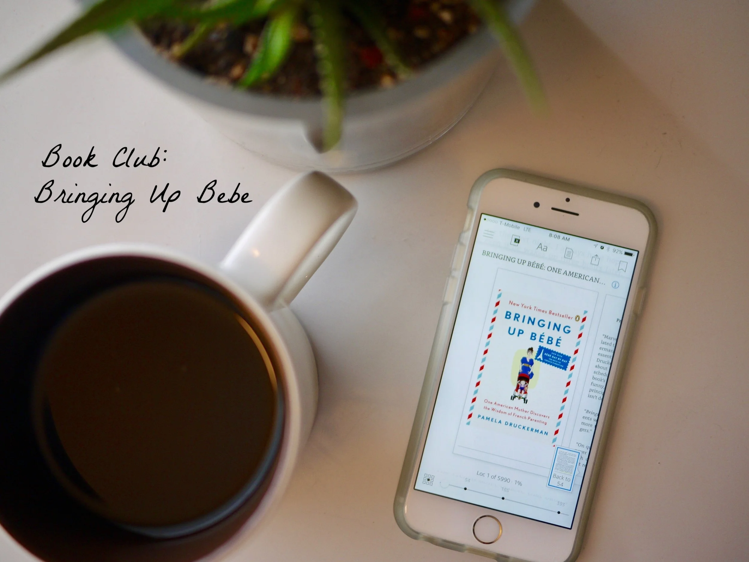 Book Club: Bringing Up Bebe