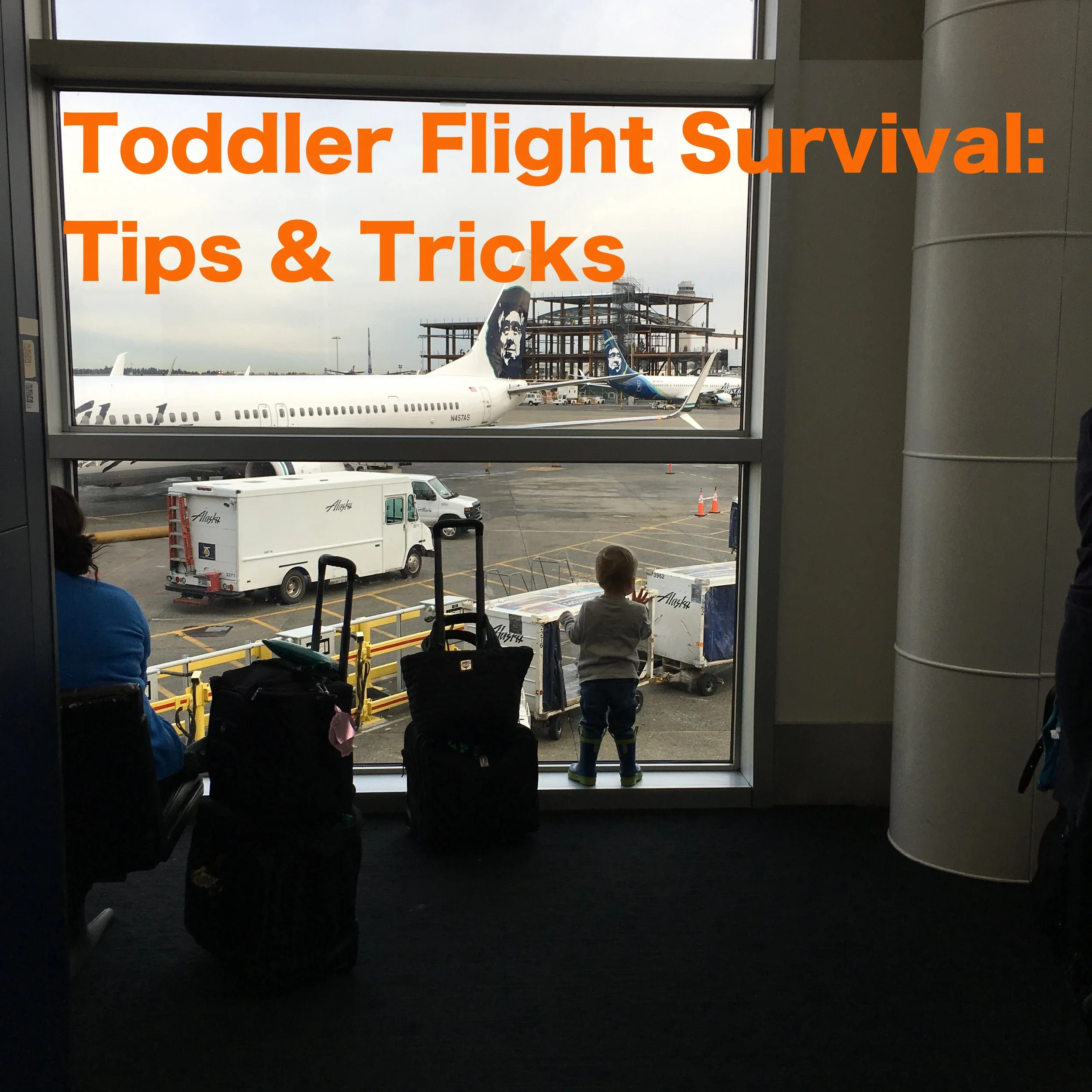 Toddler Flight Survival: Tips and Tricks