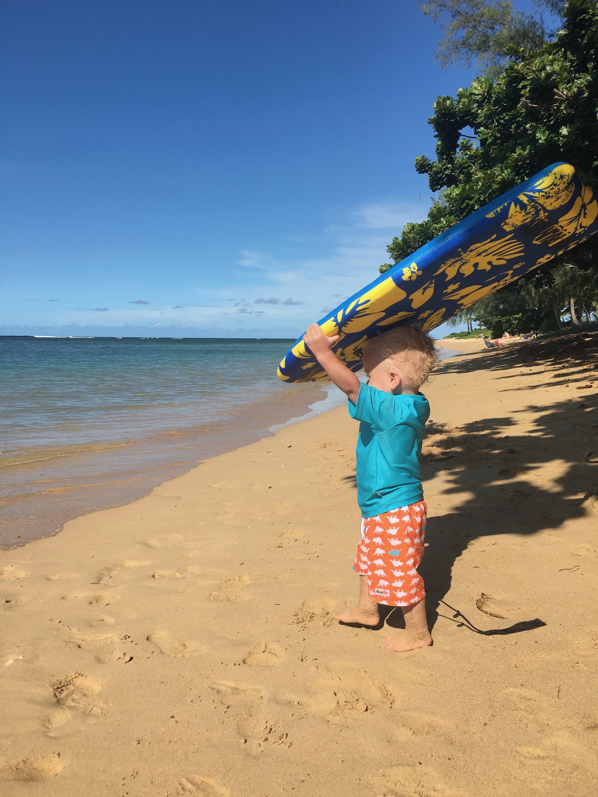 Anini Beach
