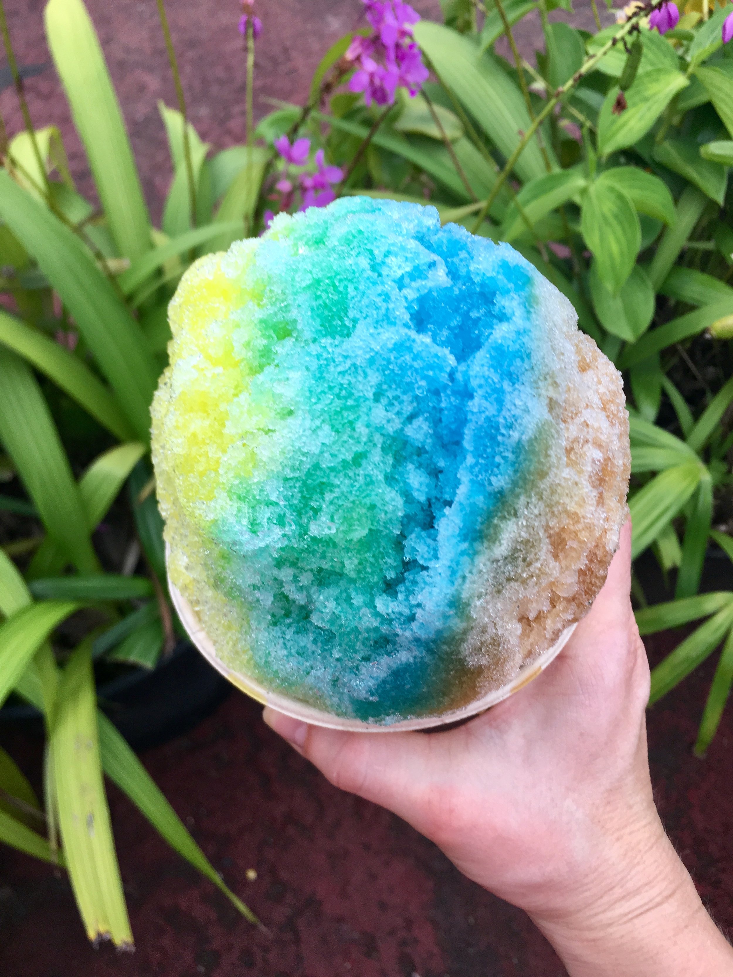 JoJo's, Hanalei
