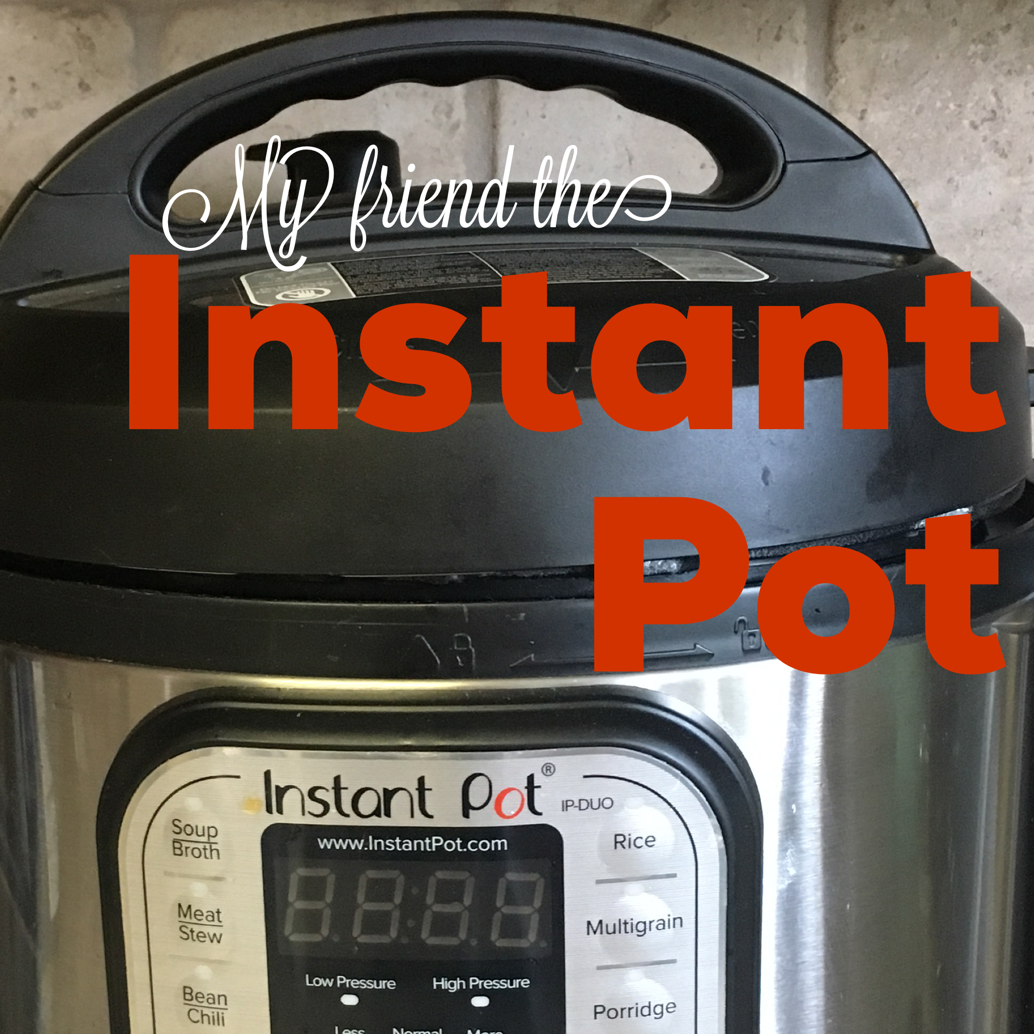 My Friend the Instant Pot