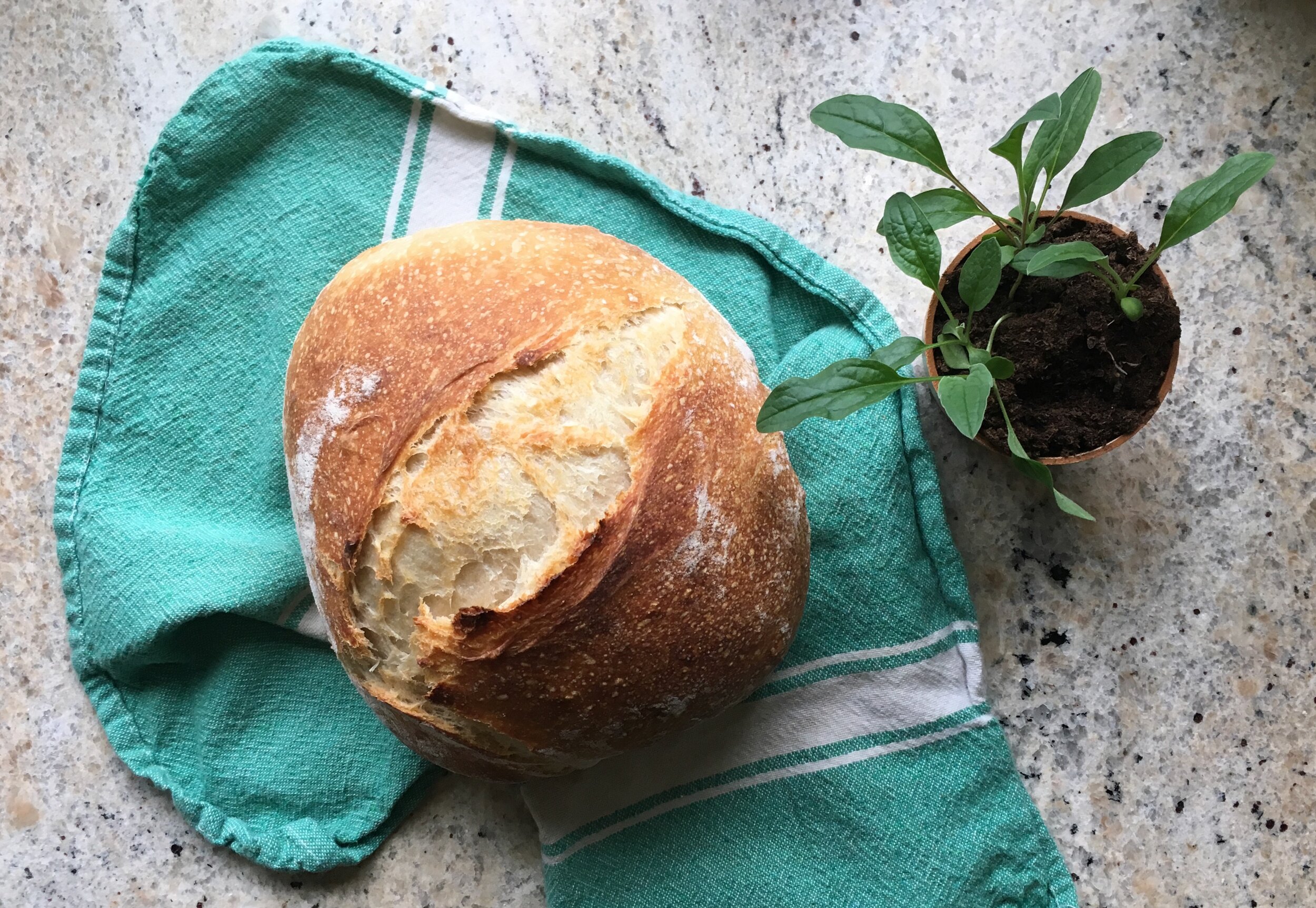 Overnight Sourdough Bread