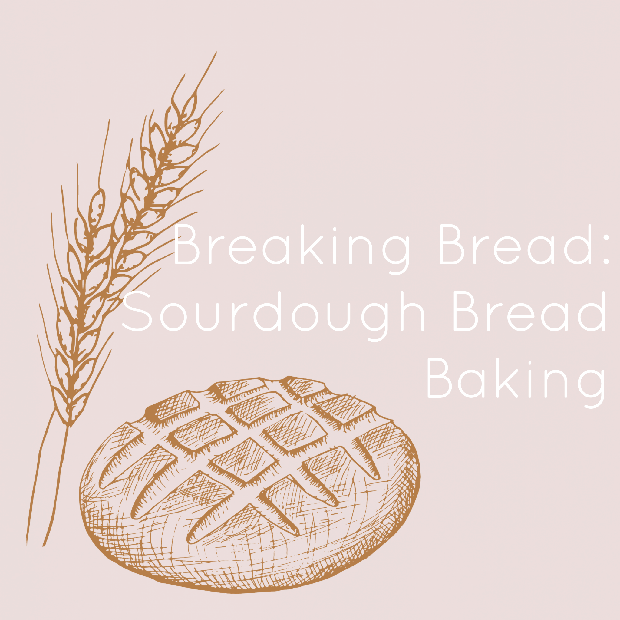 Breaking Bread: Sourdough Bread Baking