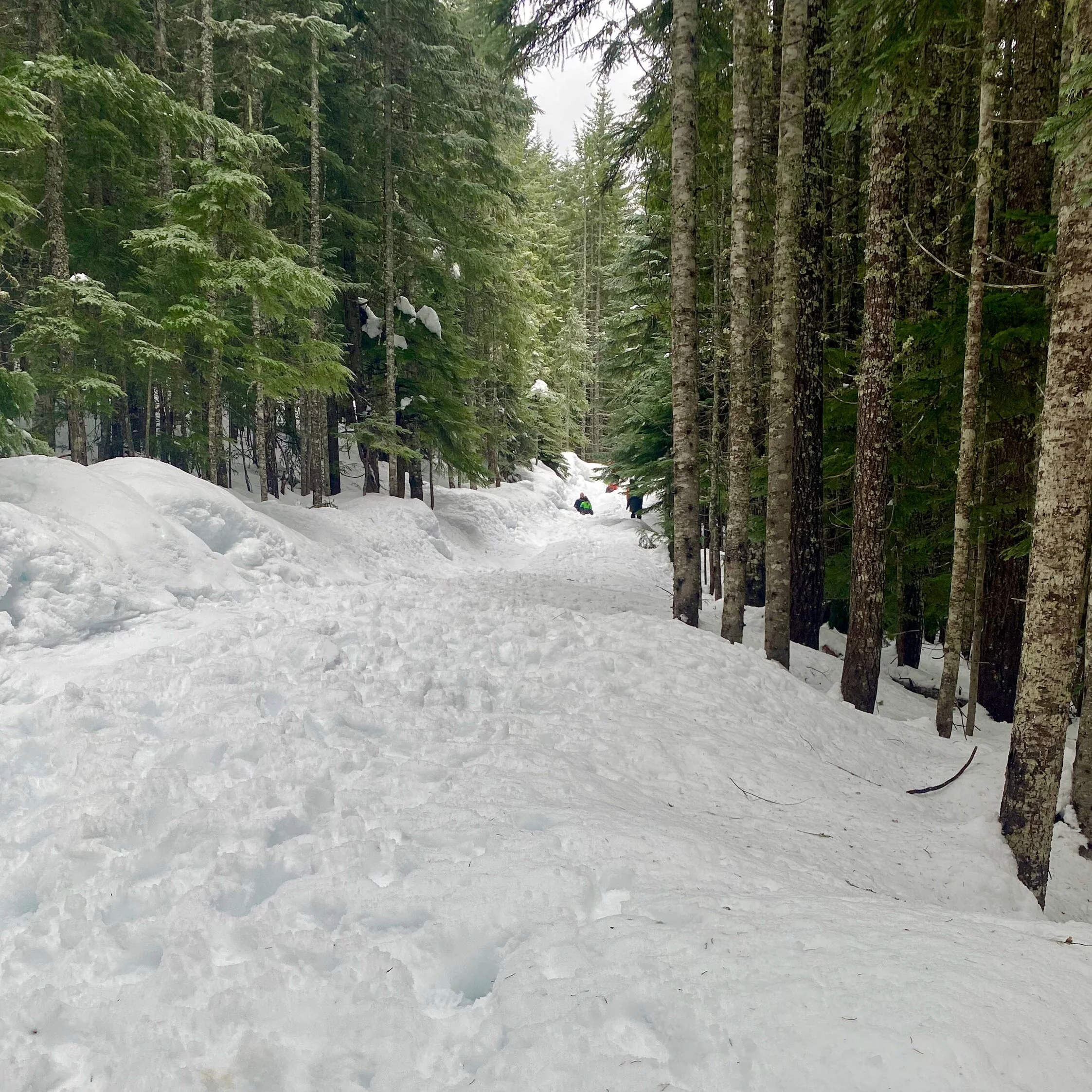 A Sledding Day with Kids