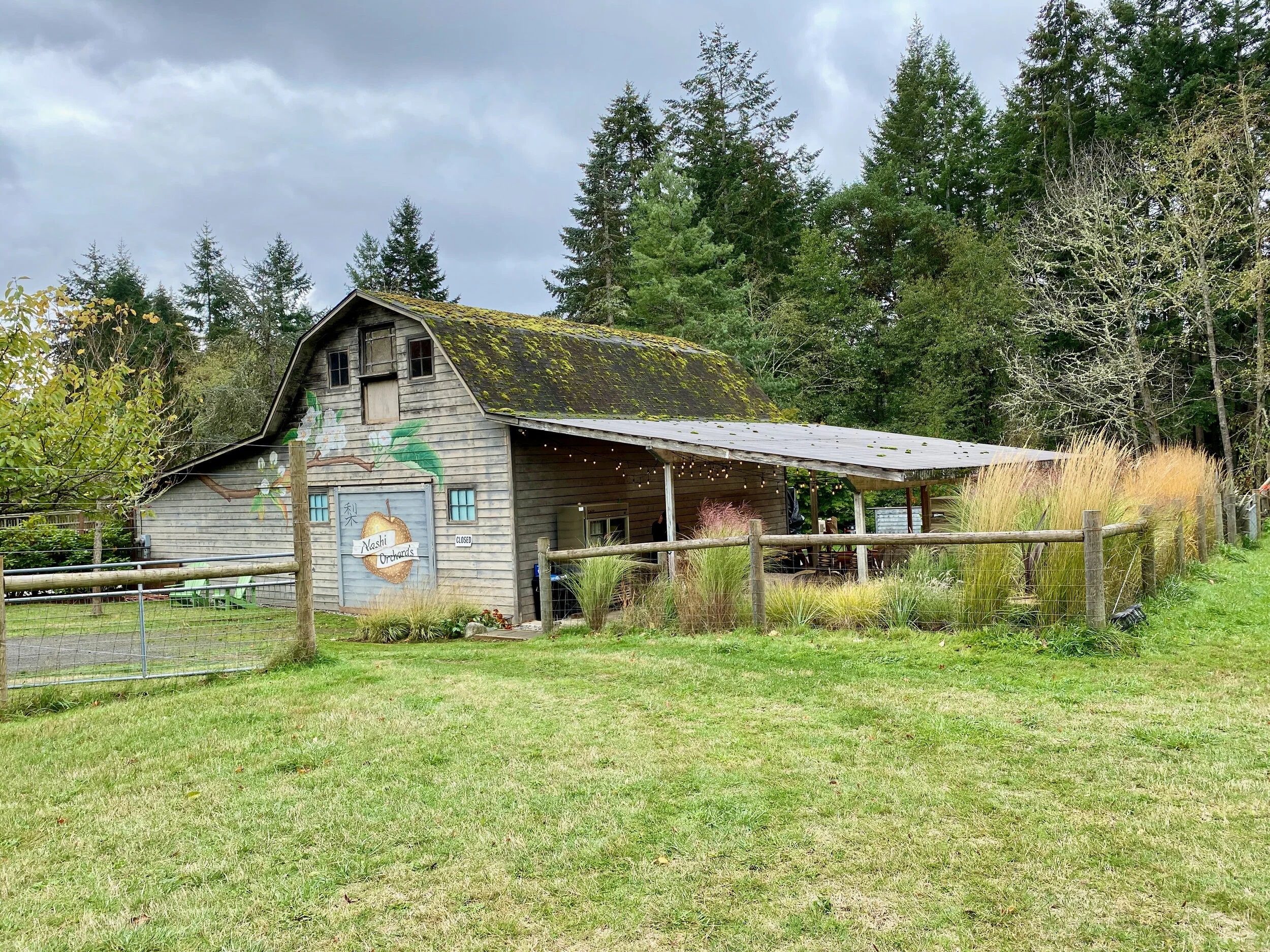 A Morning Adventure in Vashon