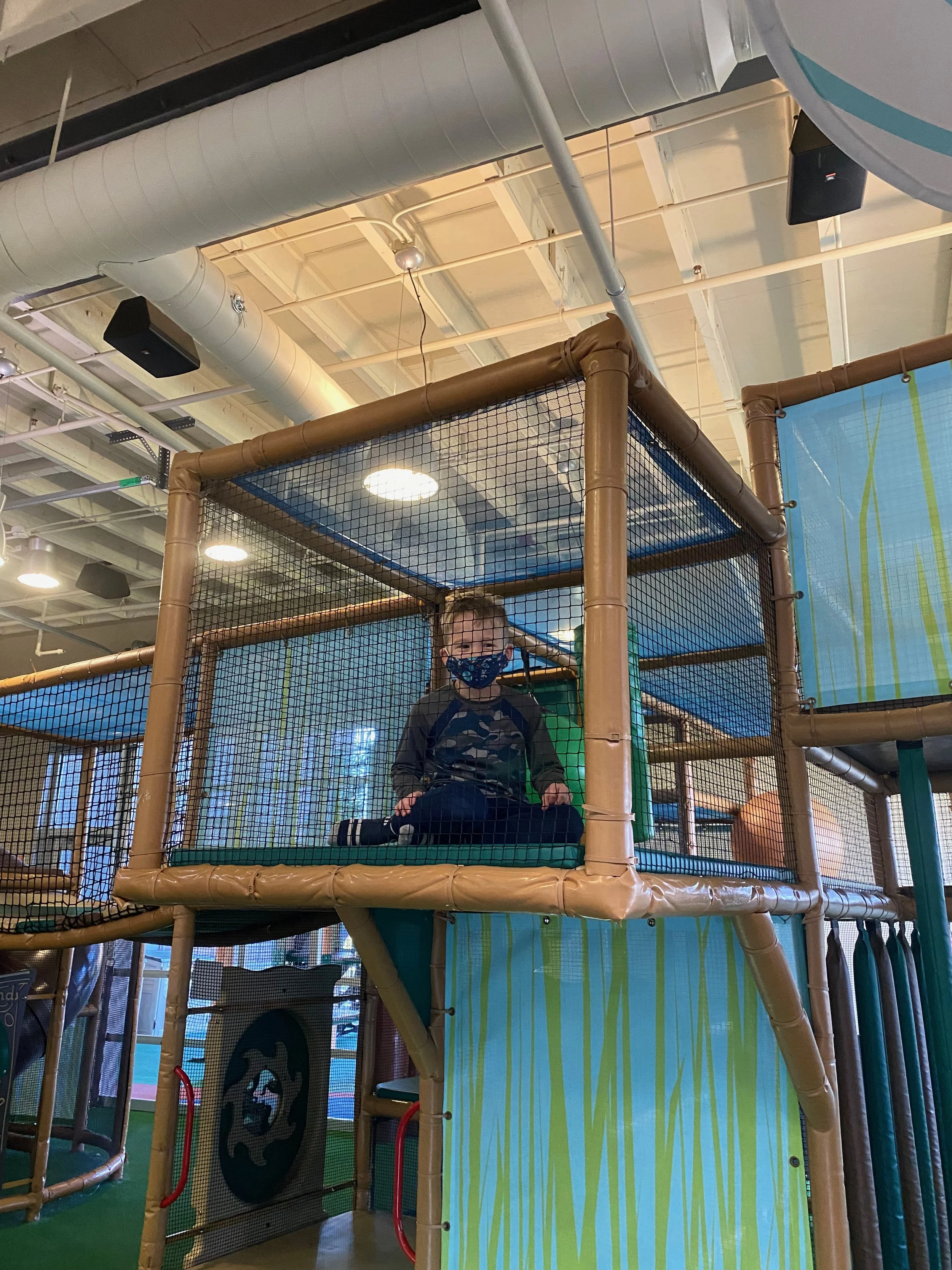 Star Center Treetops: Birthday Party and Play Time