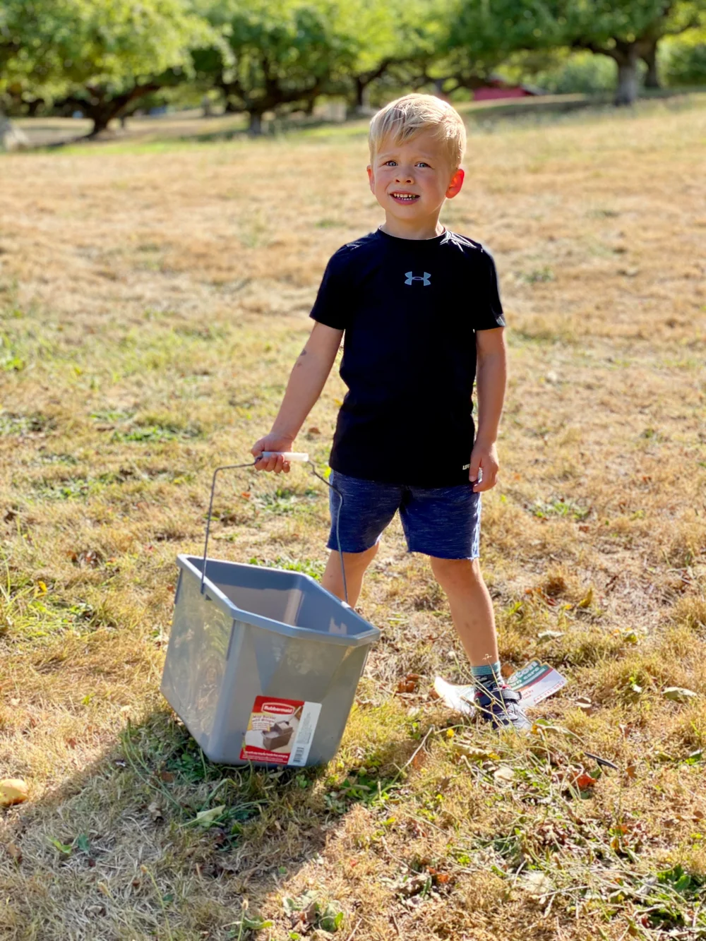 Curran Apple Orchard