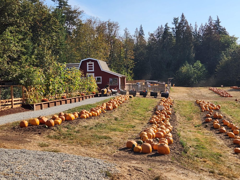 Creek House Farm 