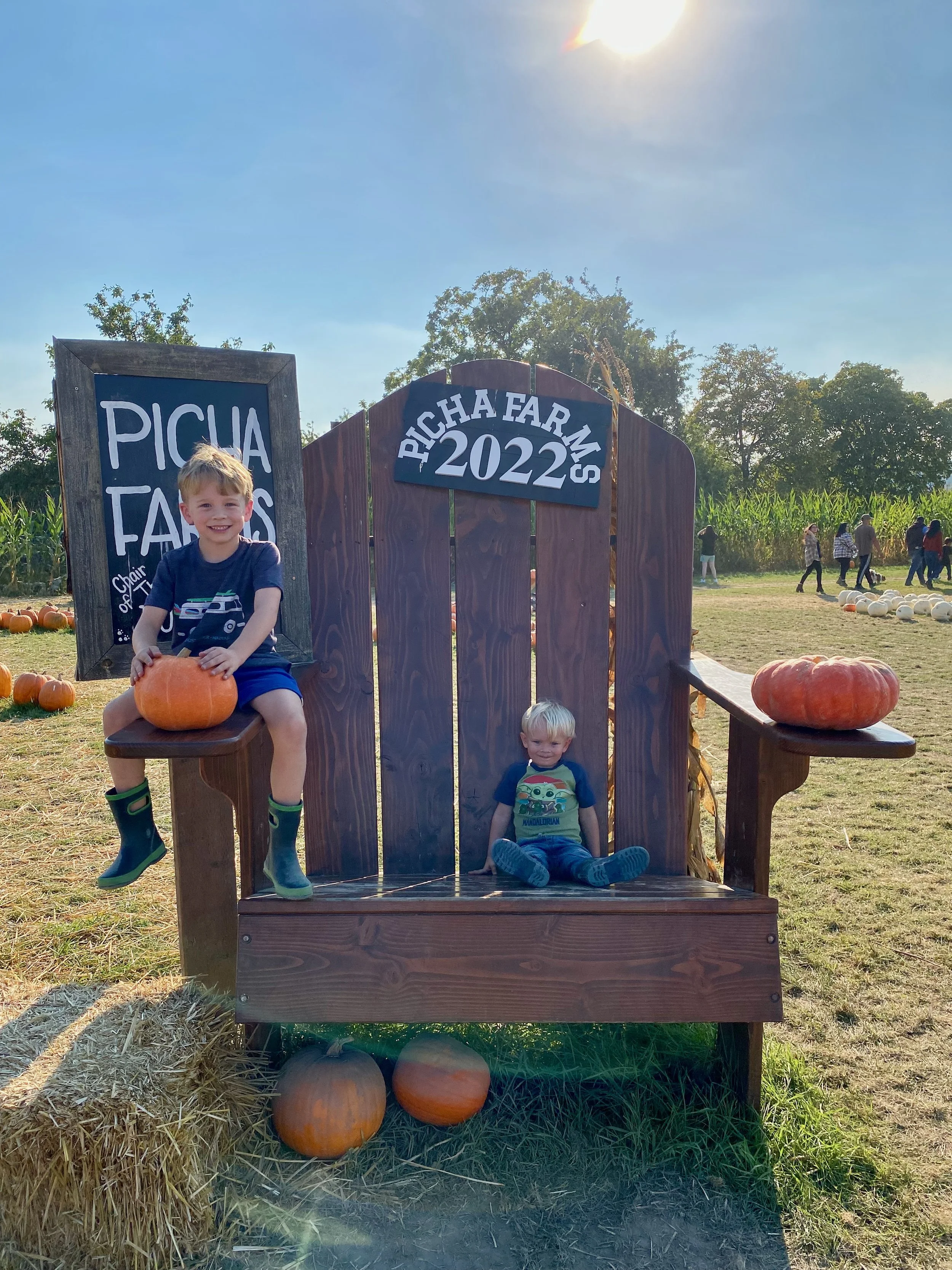 All the Pumpkin Patches, Sorta 